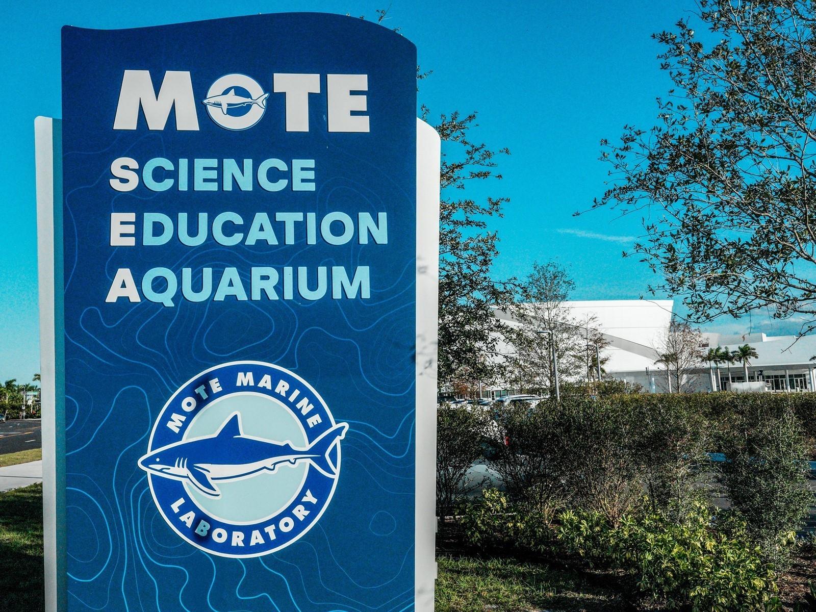 Image 89 of 89 For 5510 Chanteclaire  46