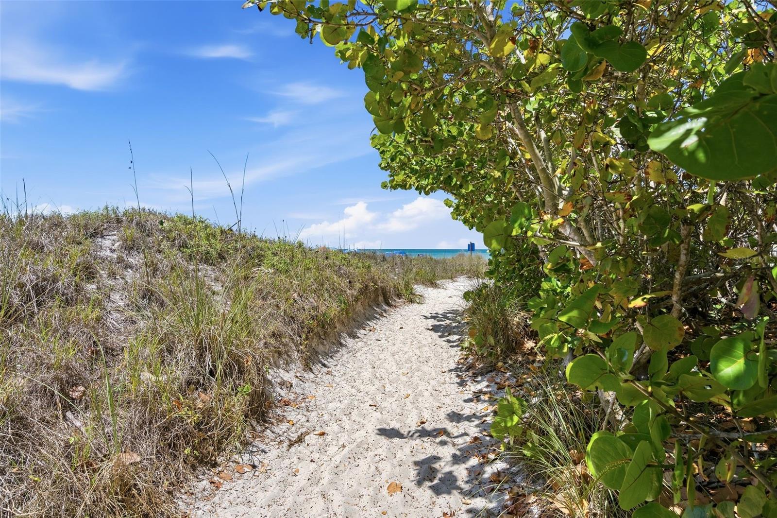 Image 62 of 71 For 2227 Montclair Drive