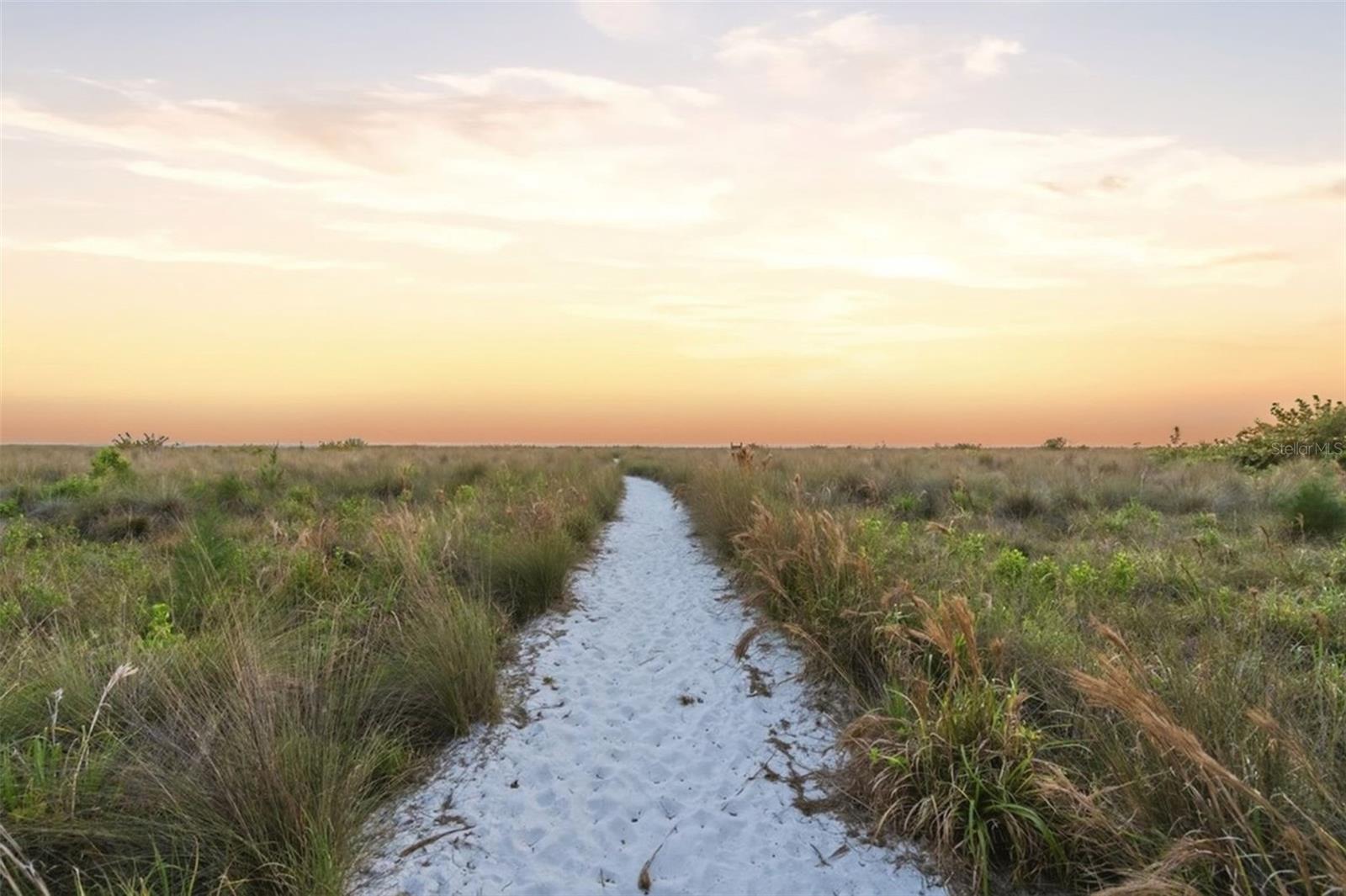 Image 63 of 71 For 2227 Montclair Drive