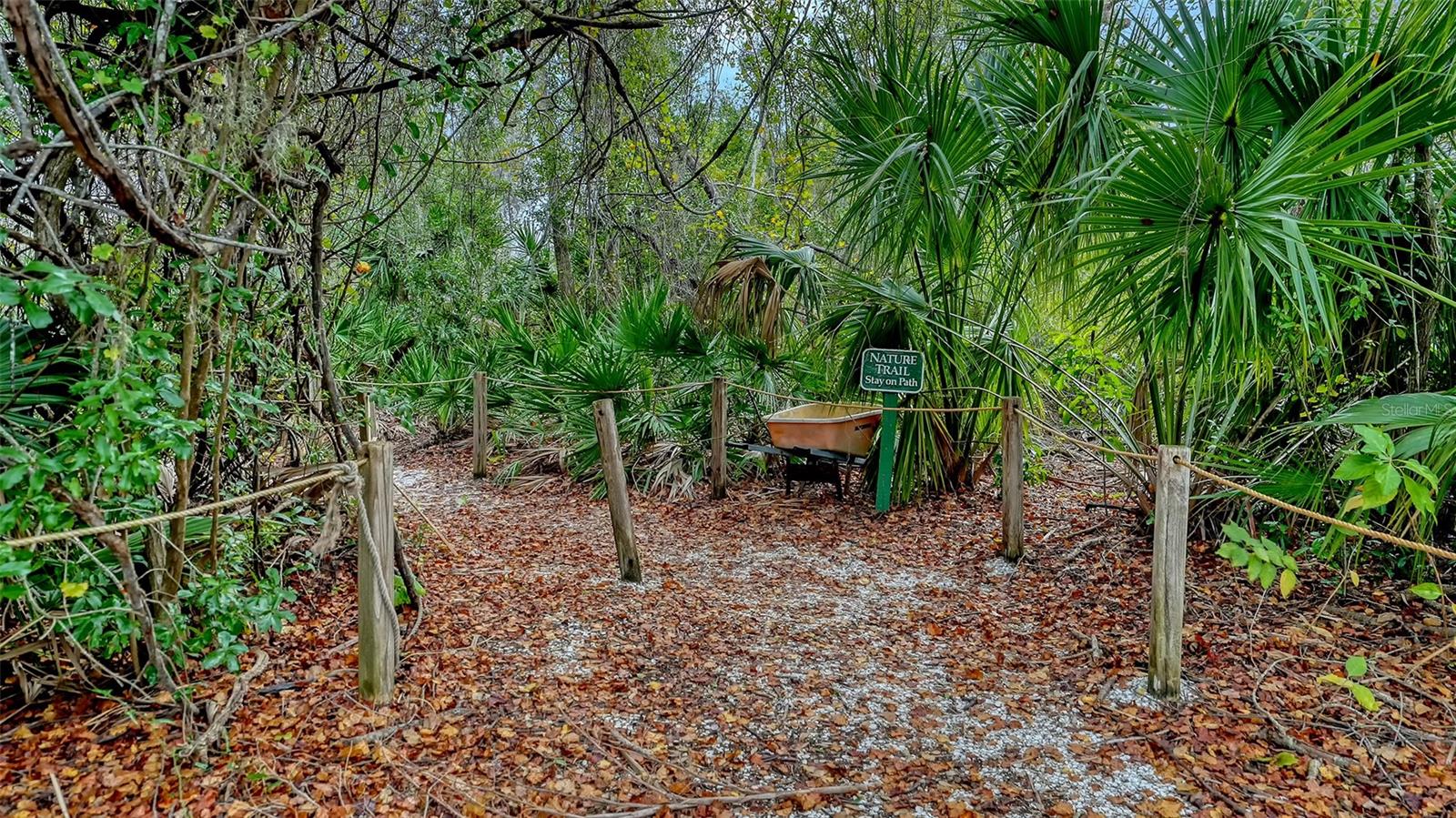 Image 61 of 82 For 7018 Coachlight Street