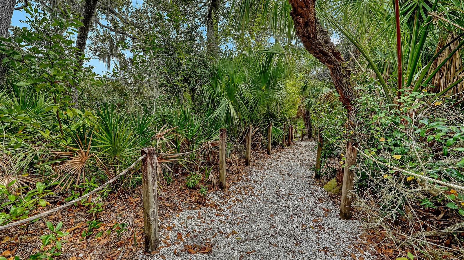 Image 64 of 82 For 7018 Coachlight Street