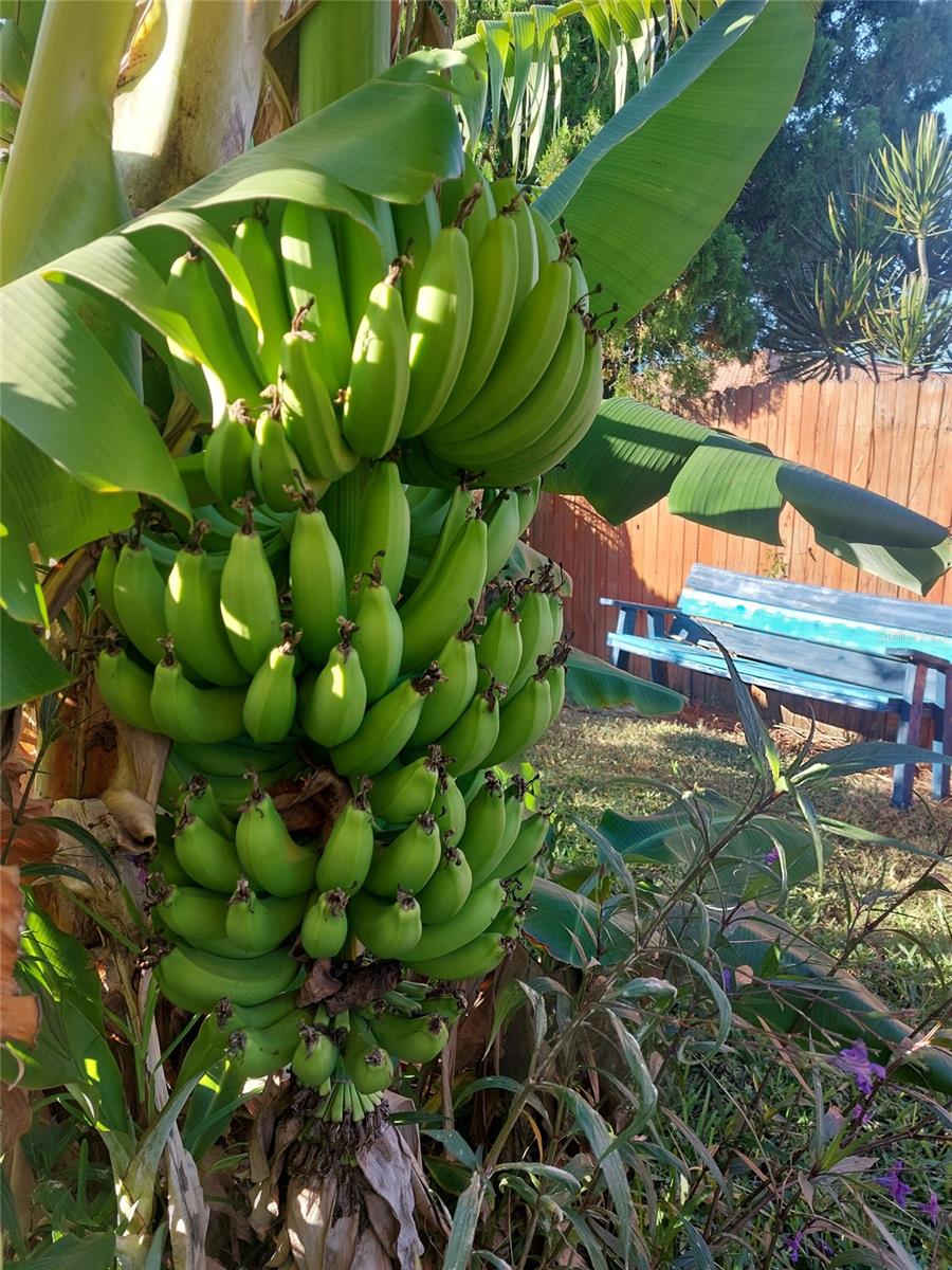 Image 30 of 36 For 3303 Florida Boulevard