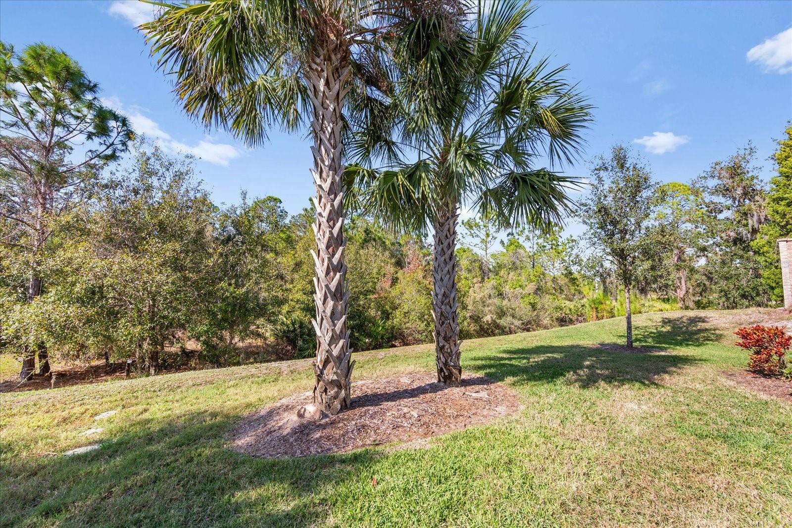 Image 45 of 91 For 16606 Blackwater Terrace