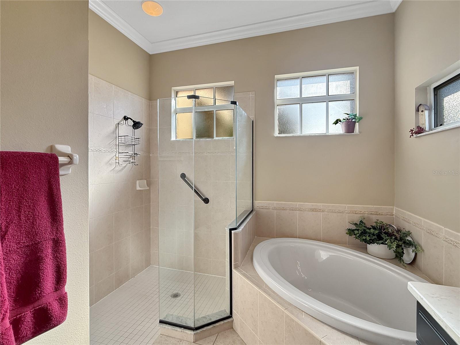 Image 19 of 59 For 711 Shadow Bay Way