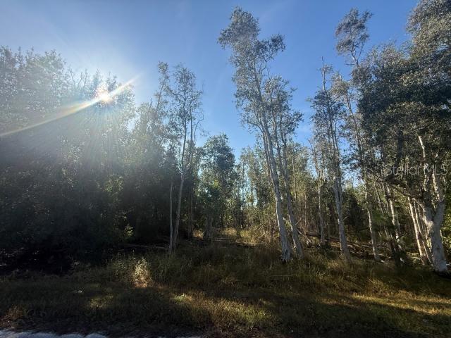 Details for 27335 Las Lomas Drive, PUNTA GORDA, FL 33955