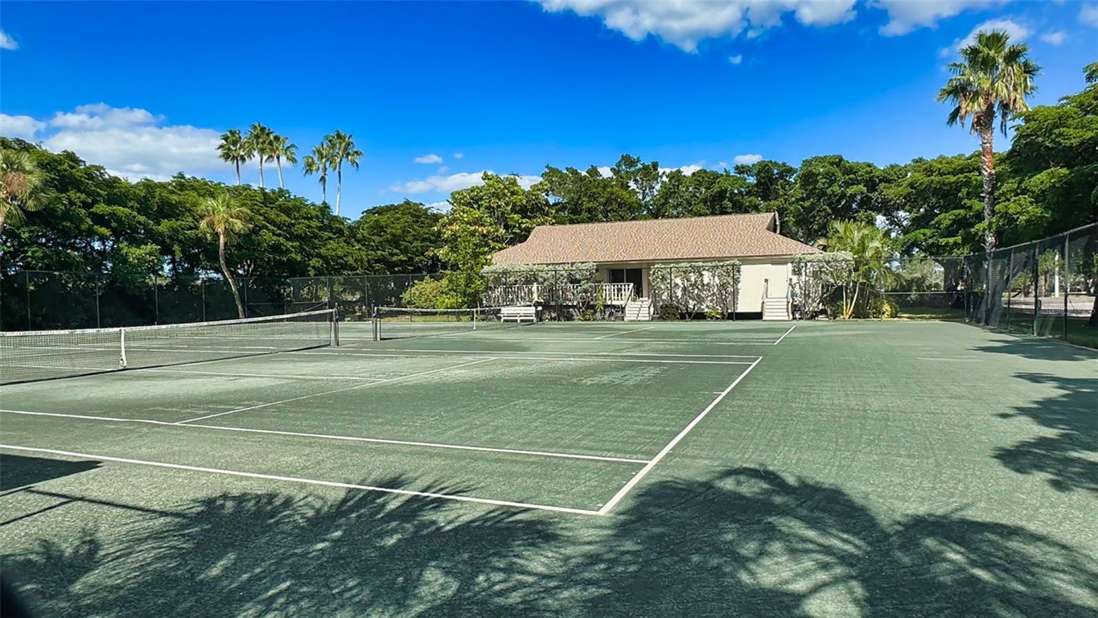 Image 52 of 70 For 2301 Gulf Of Mexico Drive 12n And 11