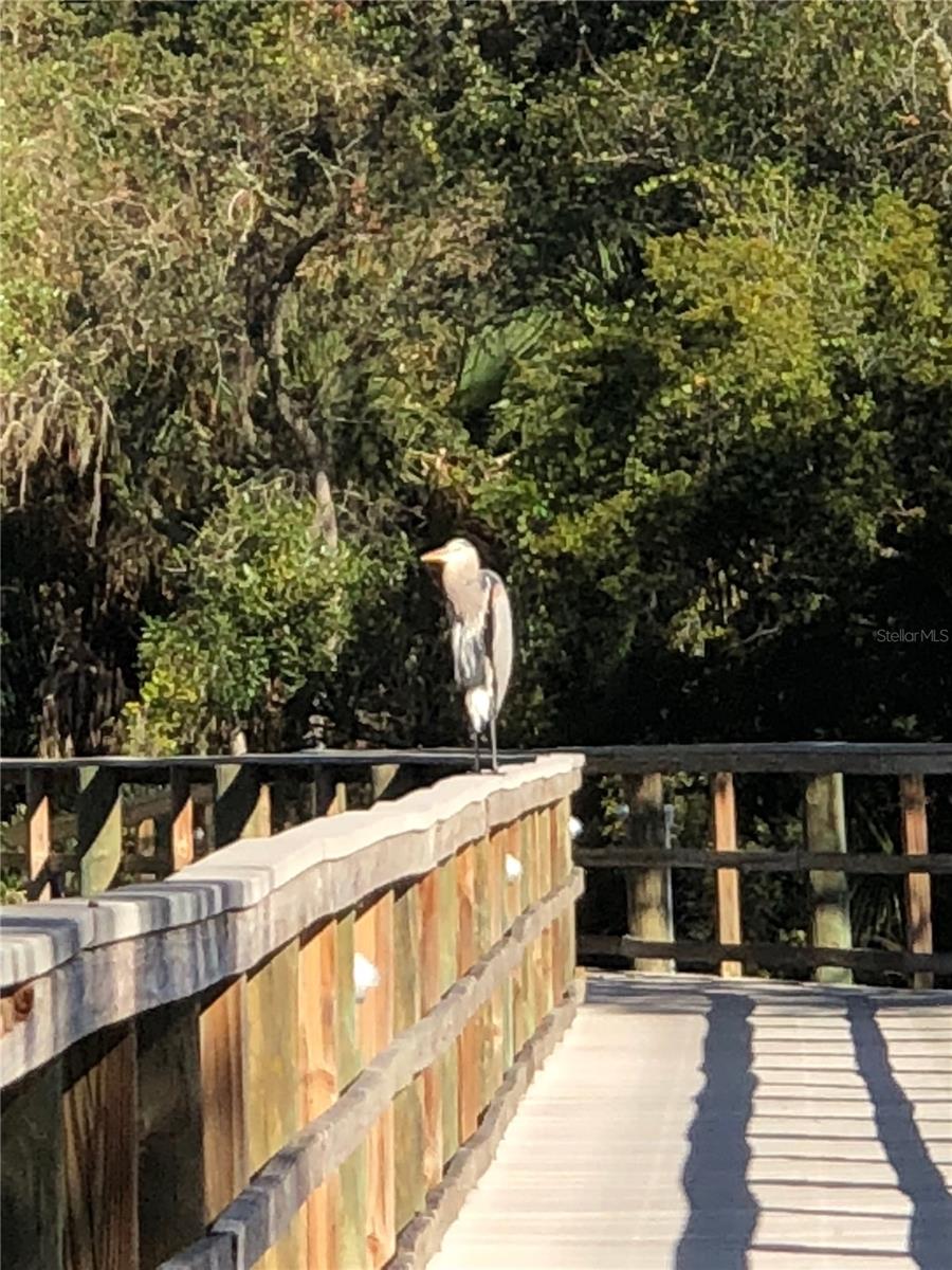 Image 45 of 53 For 5577 Key West Place 5577