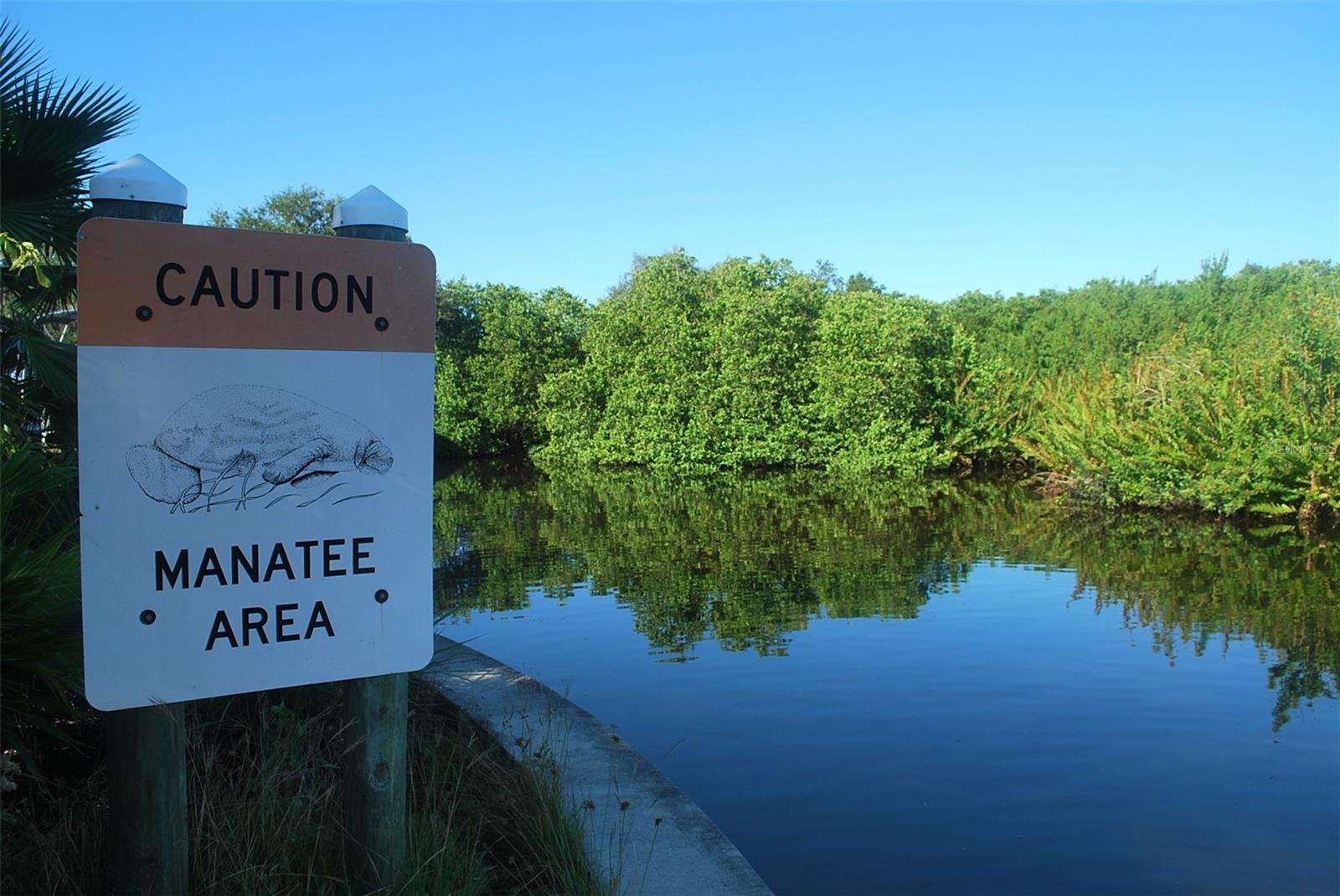 Image 50 of 53 For 5577 Key West Place 5577