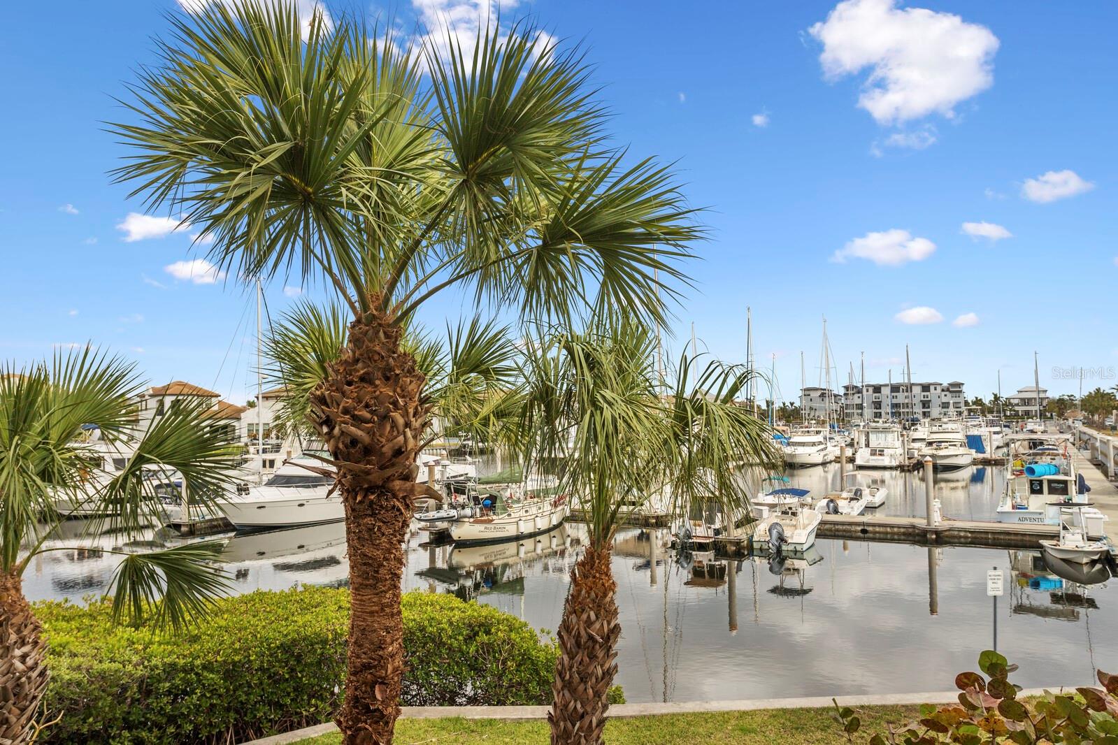 Image 14 of 87 For 423 Bahia Beach Boulevard