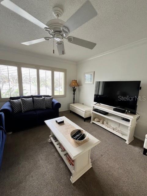 Image 7 of 21 For 6703 Midnight Pass Road 217