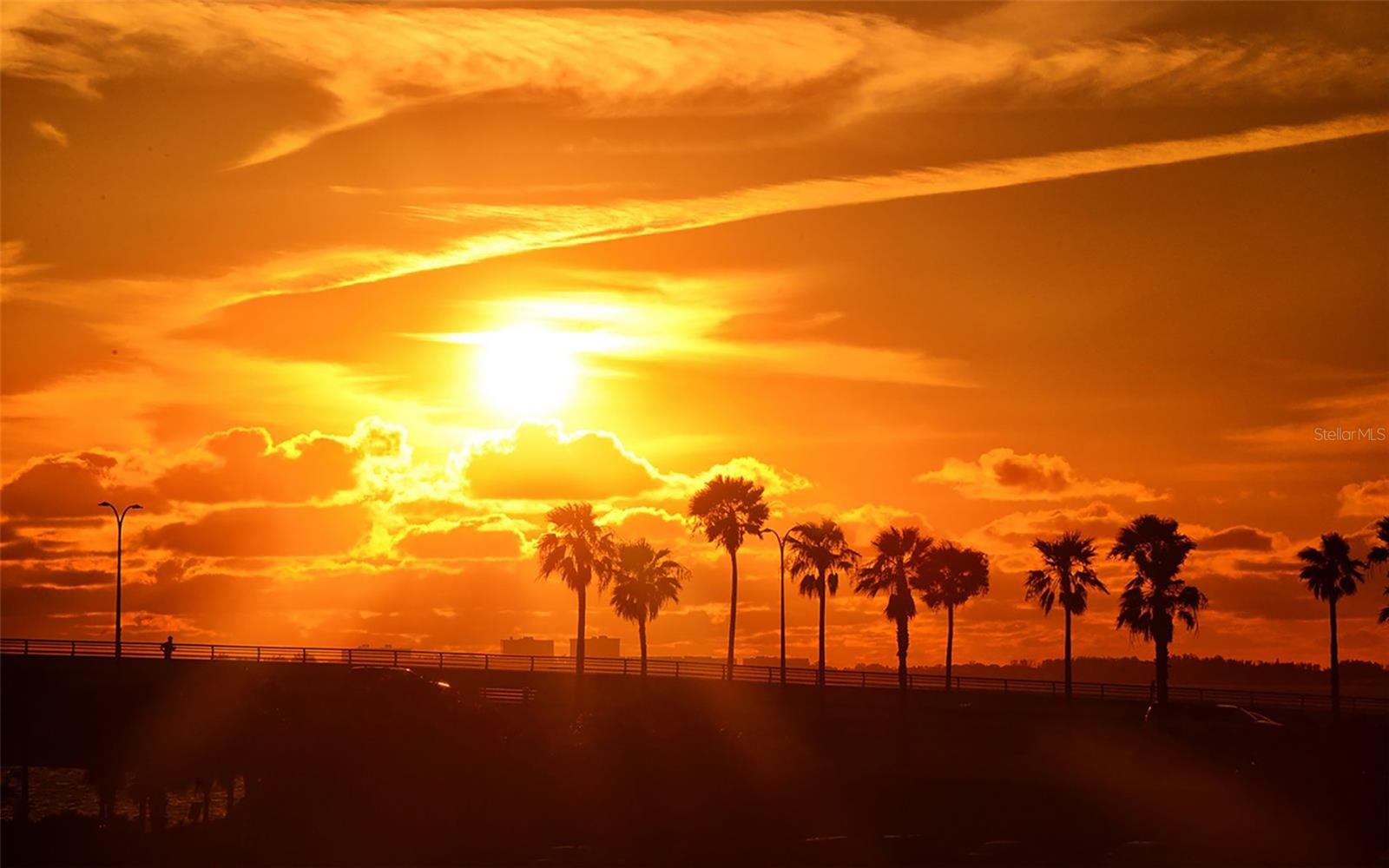 Image 73 of 73 For 707 Gulfstream Avenue 505