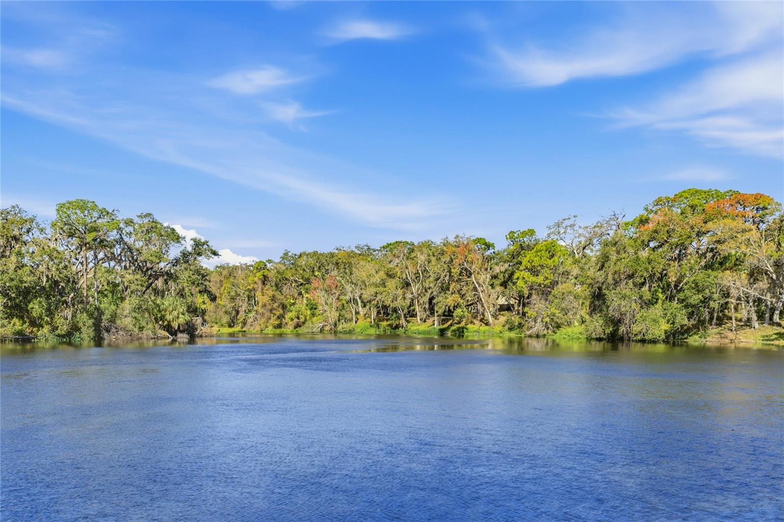 Image 45 of 46 For 4870 Tivoli Court