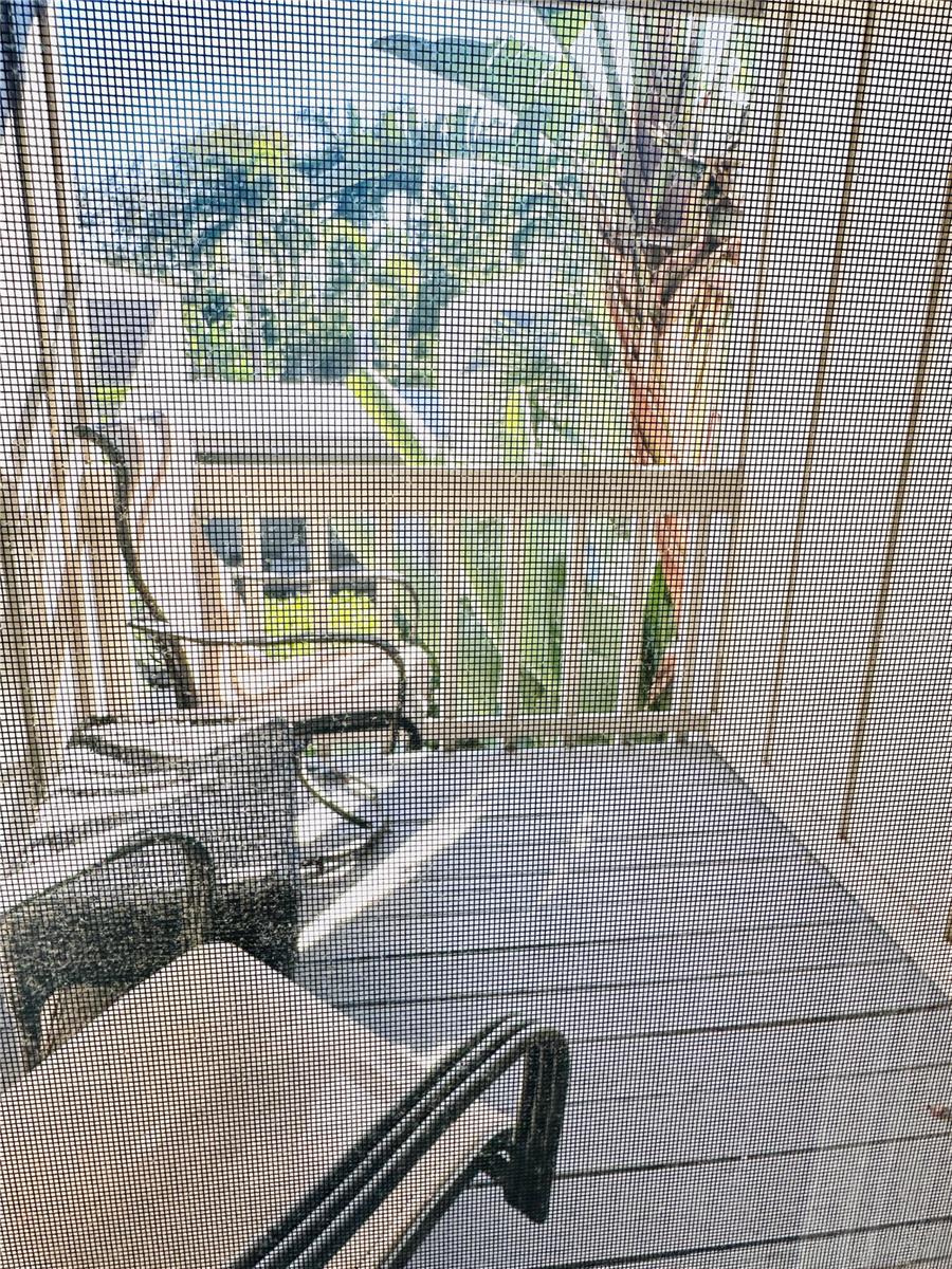 Image 20 of 26 For 2208 Bahia Vista Street F1