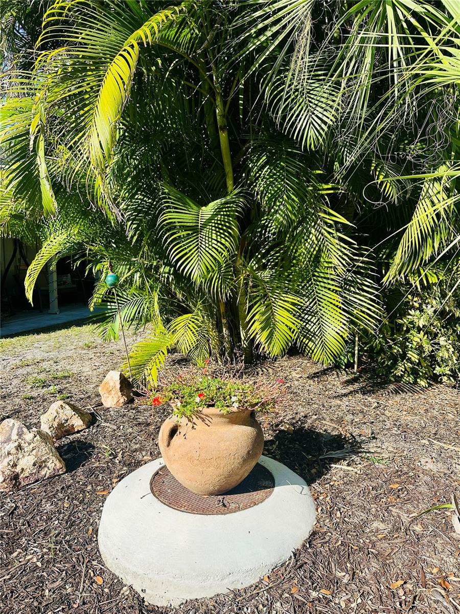 Image 21 of 26 For 2208 Bahia Vista Street F1