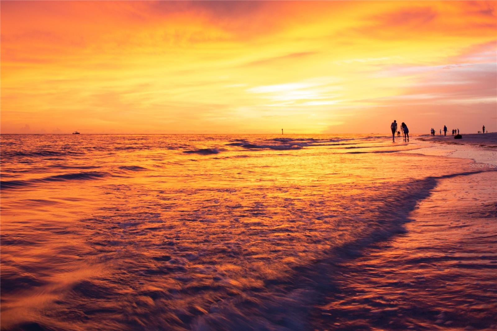 Image 23 of 26 For 2208 Bahia Vista Street F1