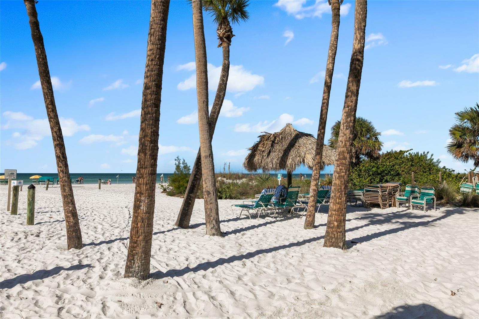 Image 34 of 36 For 6500 Midnight Pass Road 208