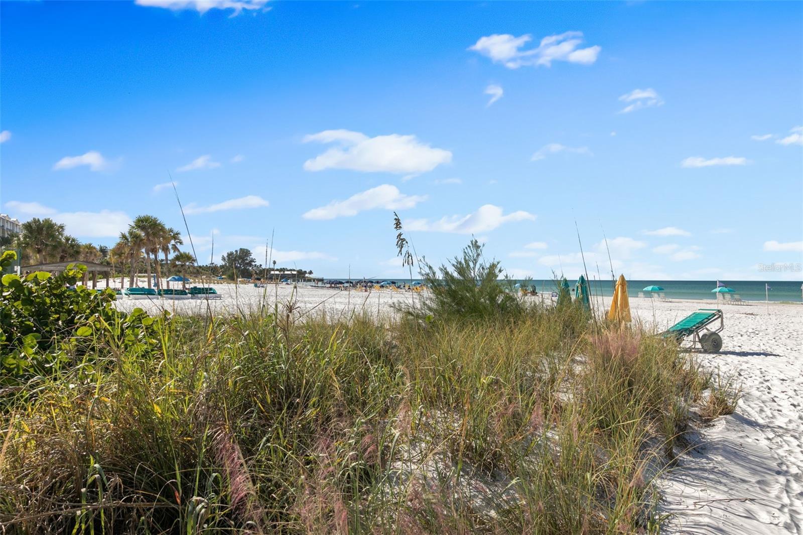 Image 36 of 36 For 6500 Midnight Pass Road 208