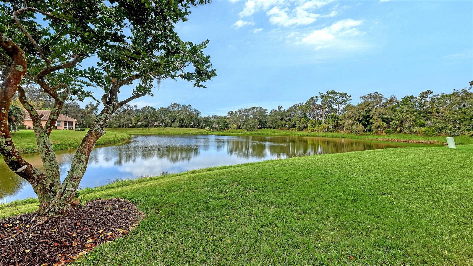 Listing photo id 22 for 4404 Reflections Parkway