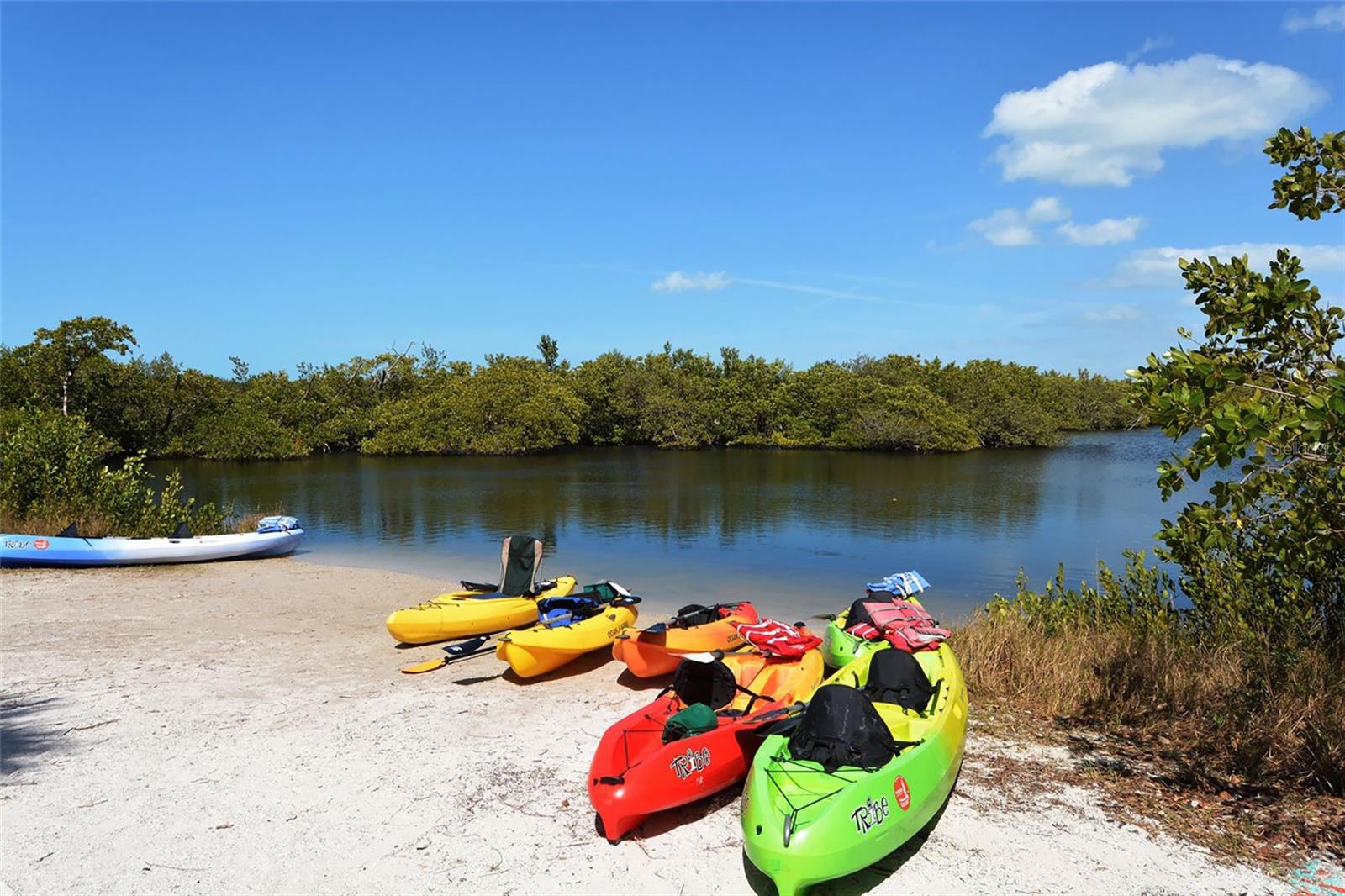 Image 43 of 48 For 1523 84th Street Nw