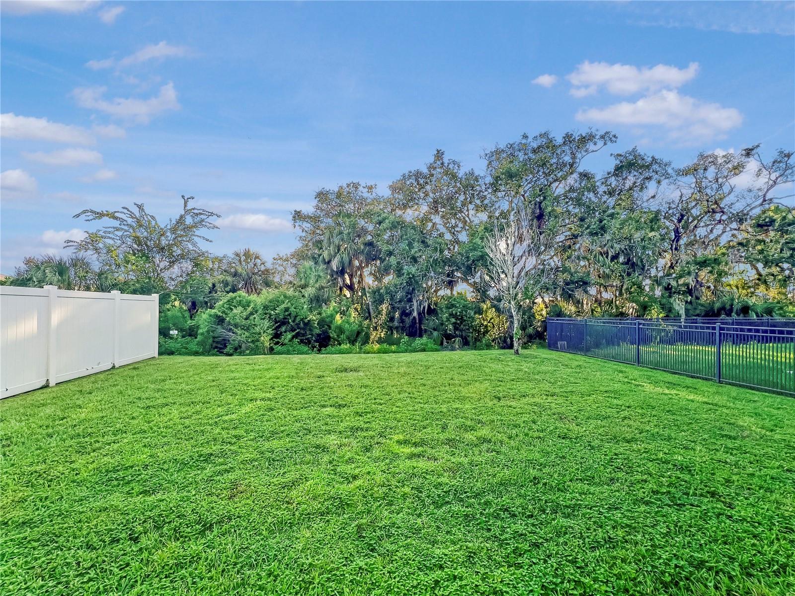 Image 16 of 34 For 8511 Rain Lily Crossing