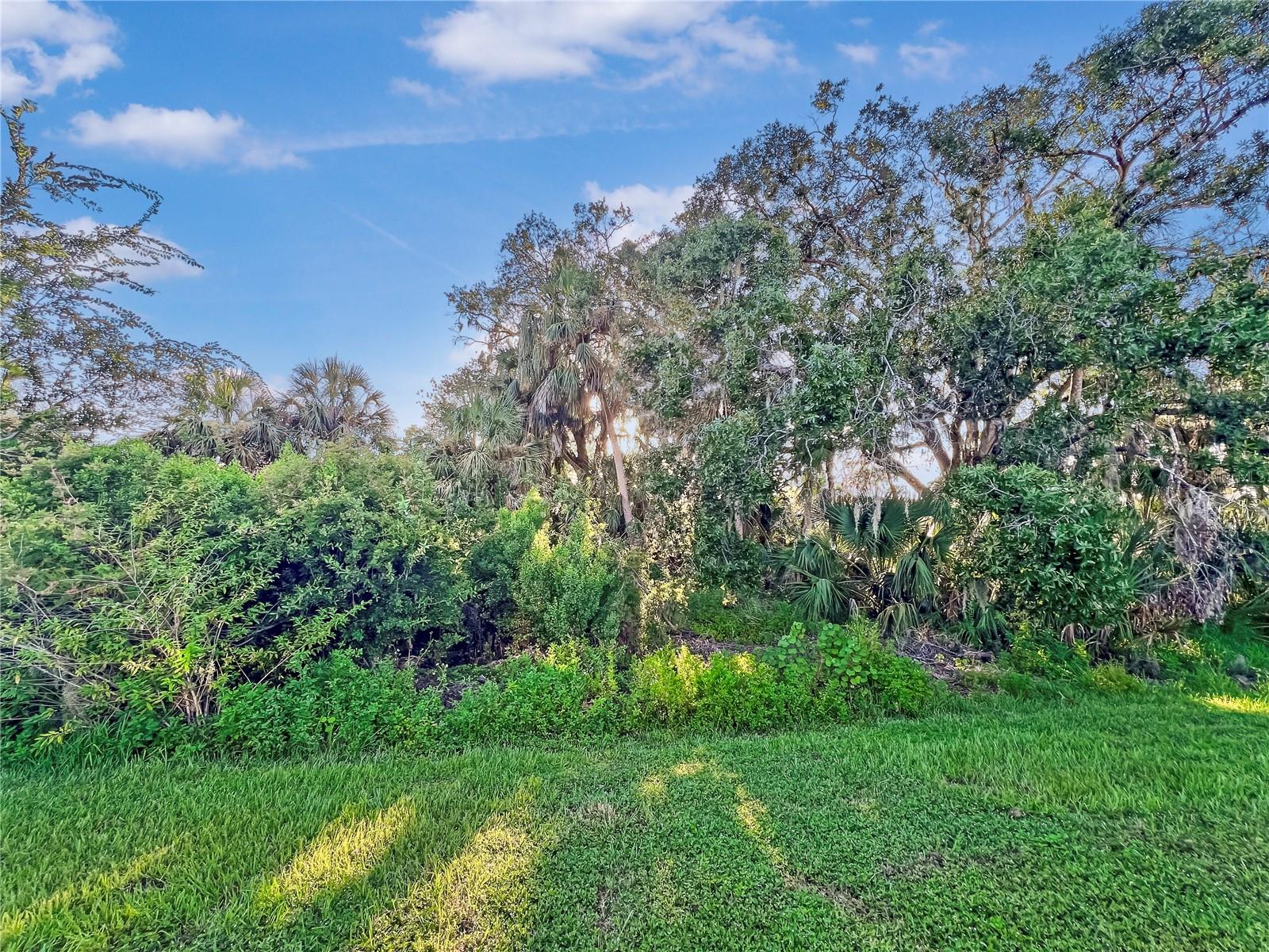 Image 17 of 34 For 8511 Rain Lily Crossing