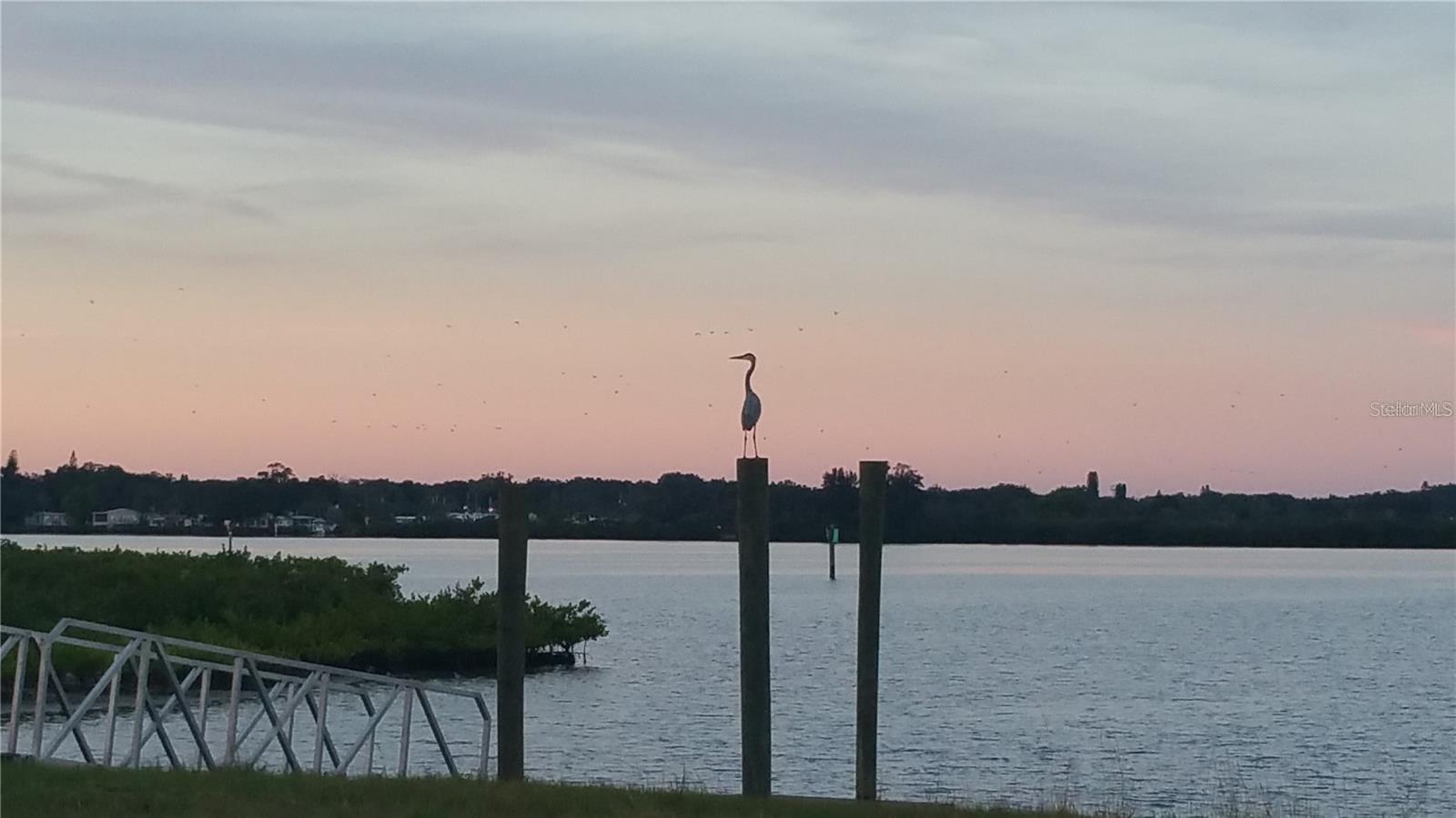 Image 51 of 77 For 1030 Tidewater Shores Loop 401