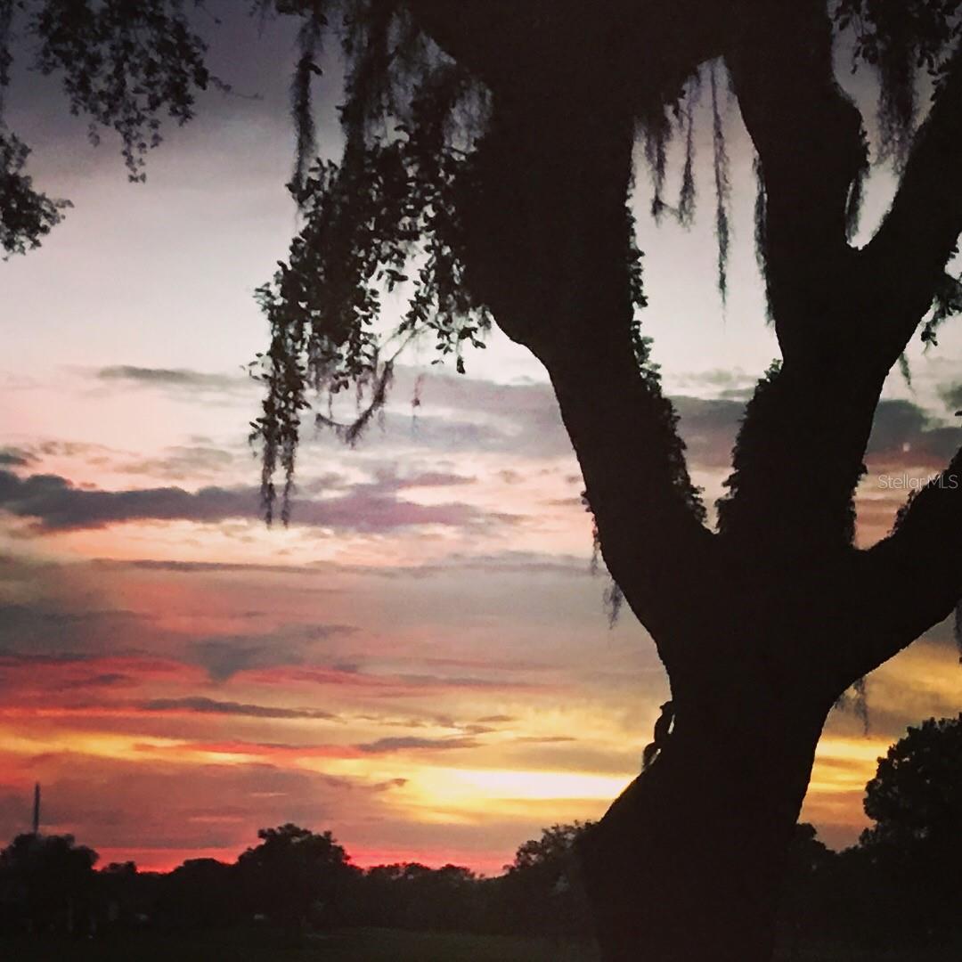 Image 34 of 45 For 3806 Roxane Boulevard 161