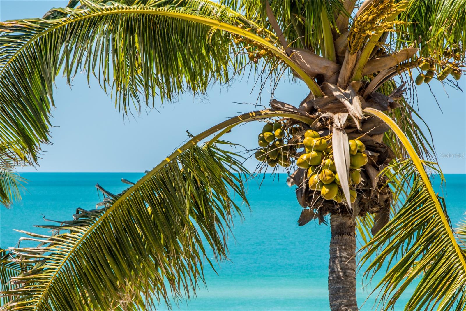 Image 48 of 53 For 331 Bobby Jones Road 331