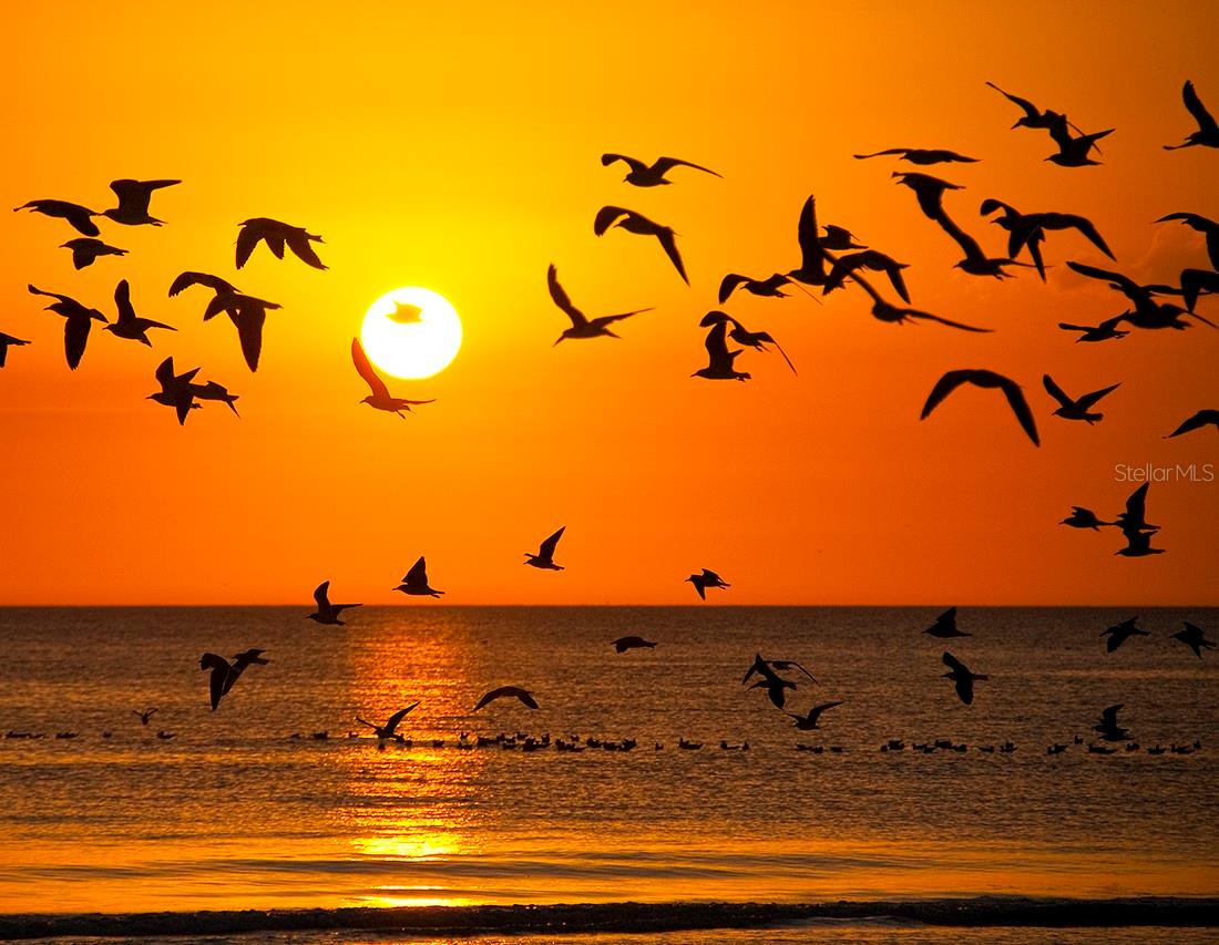 Image 53 of 53 For 331 Bobby Jones Road 331