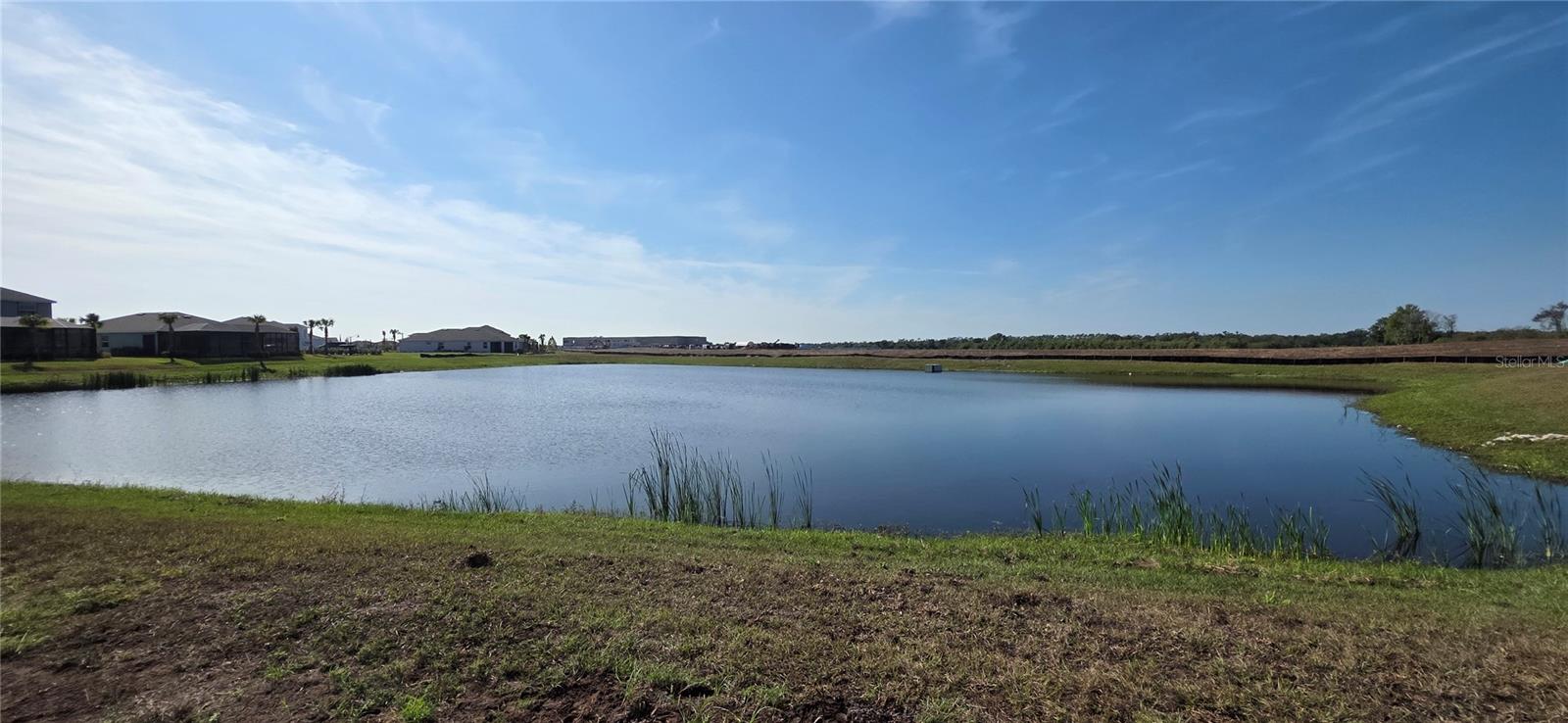 Image 6 of 6 For 3809 Ambersweet Crossing