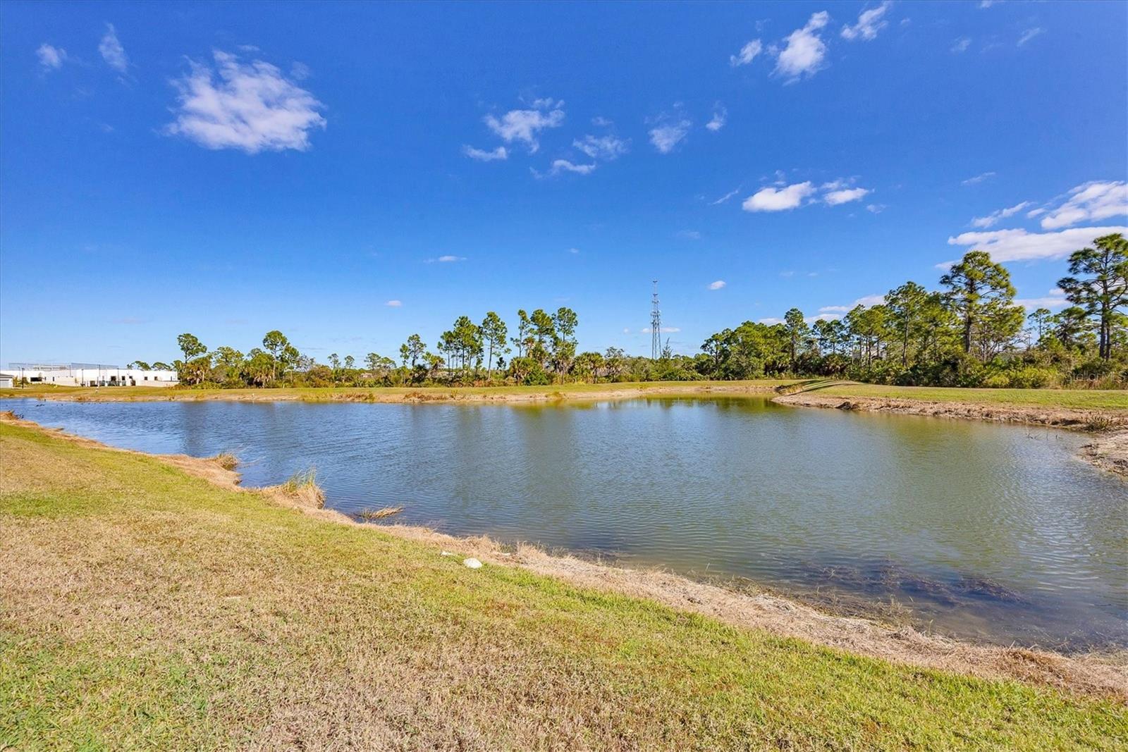 Image 32 of 61 For 11314 Pinot Drive