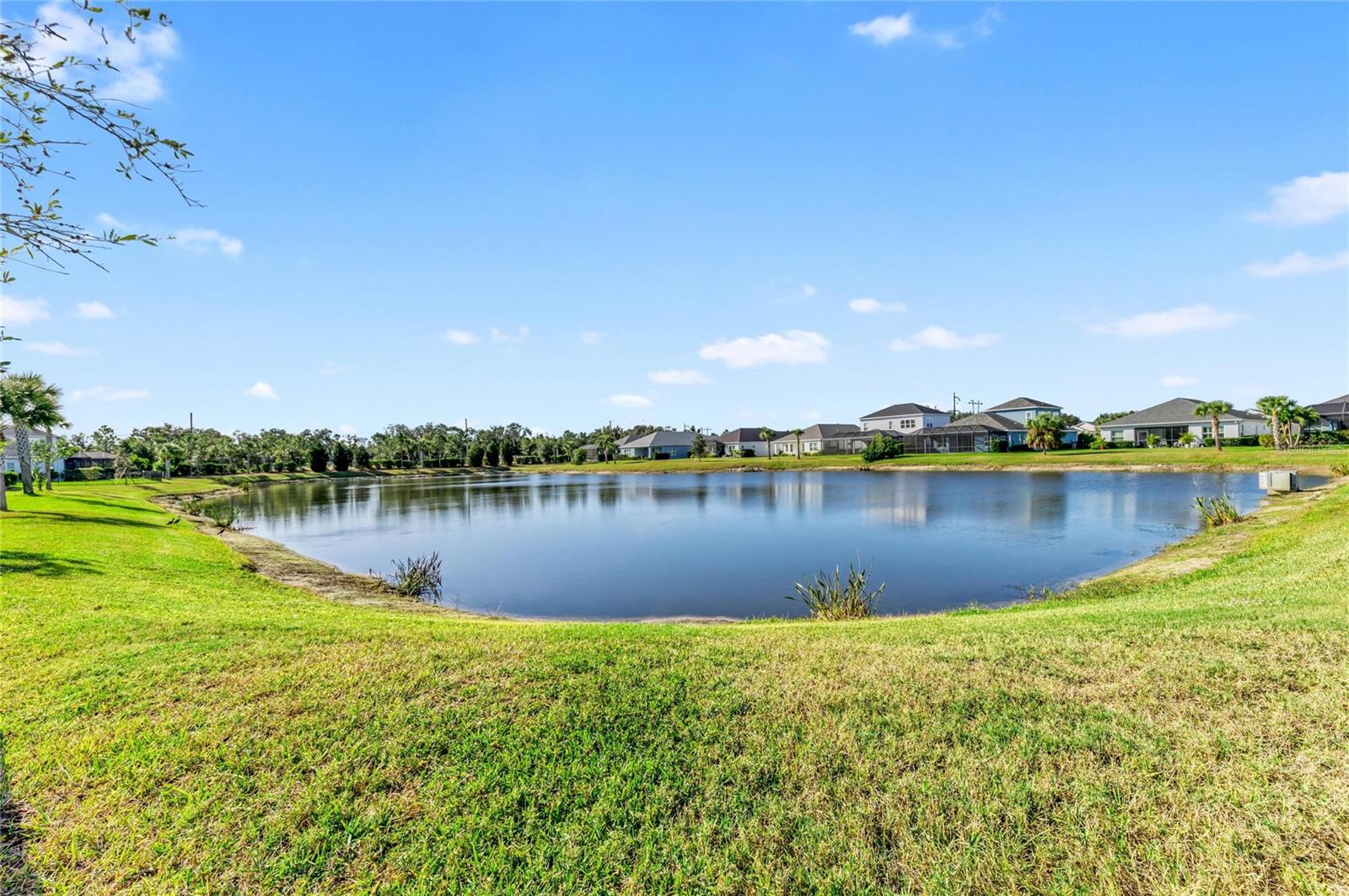 Image 35 of 43 For 3417 Box Turtle Terrace