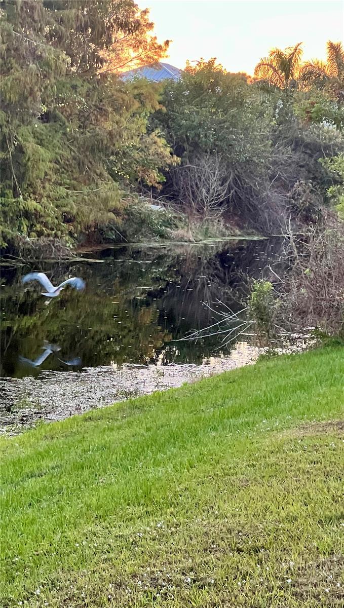 Image 42 of 54 For 7332 Brandywine Drive