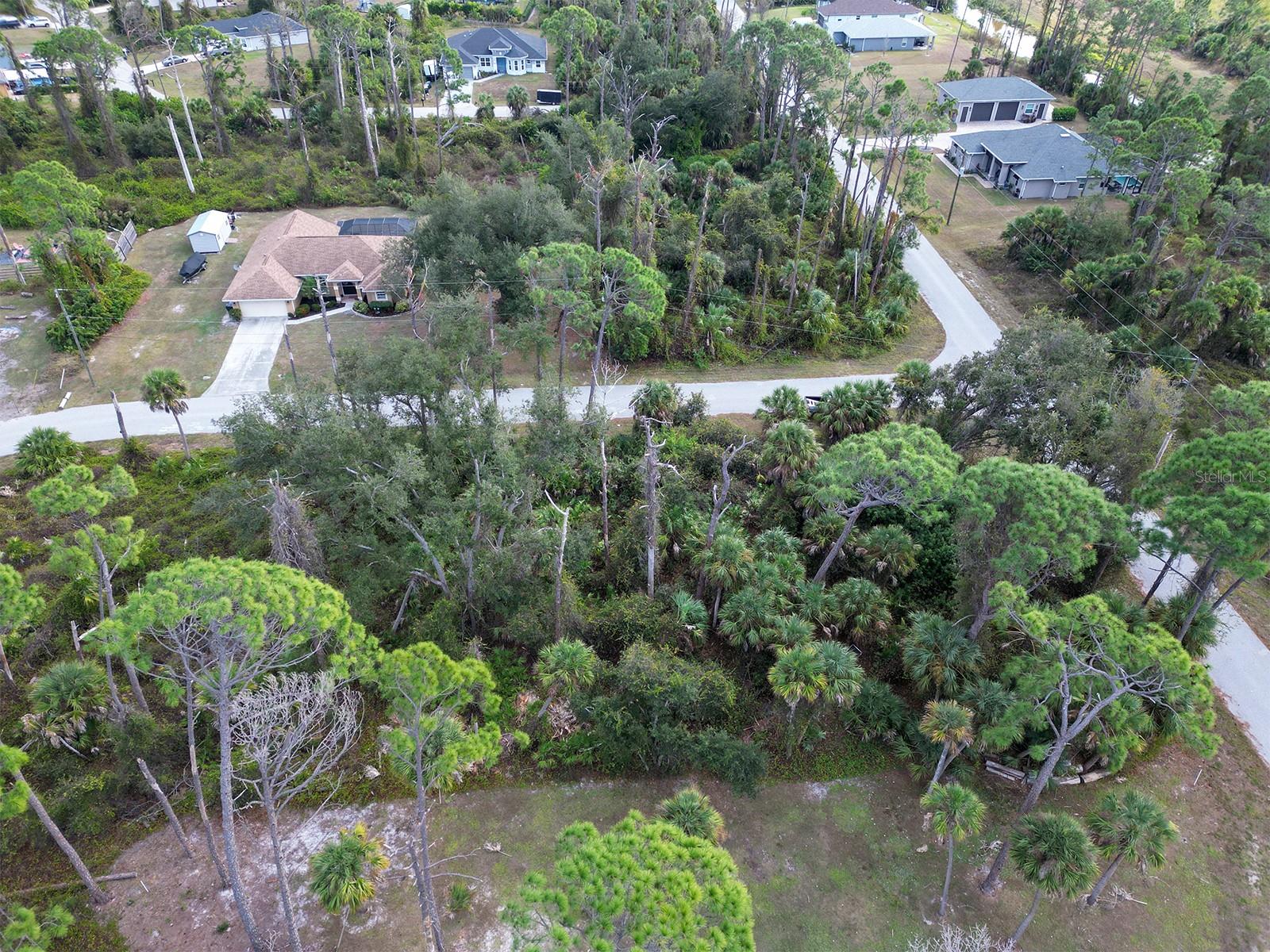 Image 4 of 5 For Advance Street