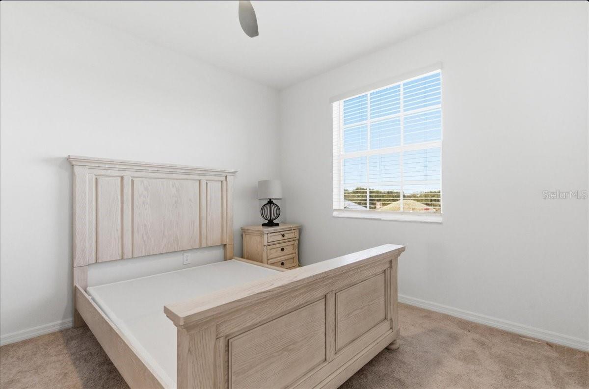 Image 13 of 19 For 19140 Scallop Loop 308