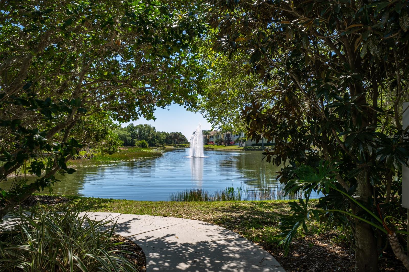 Image 41 of 41 For 5546 Whitehead Street