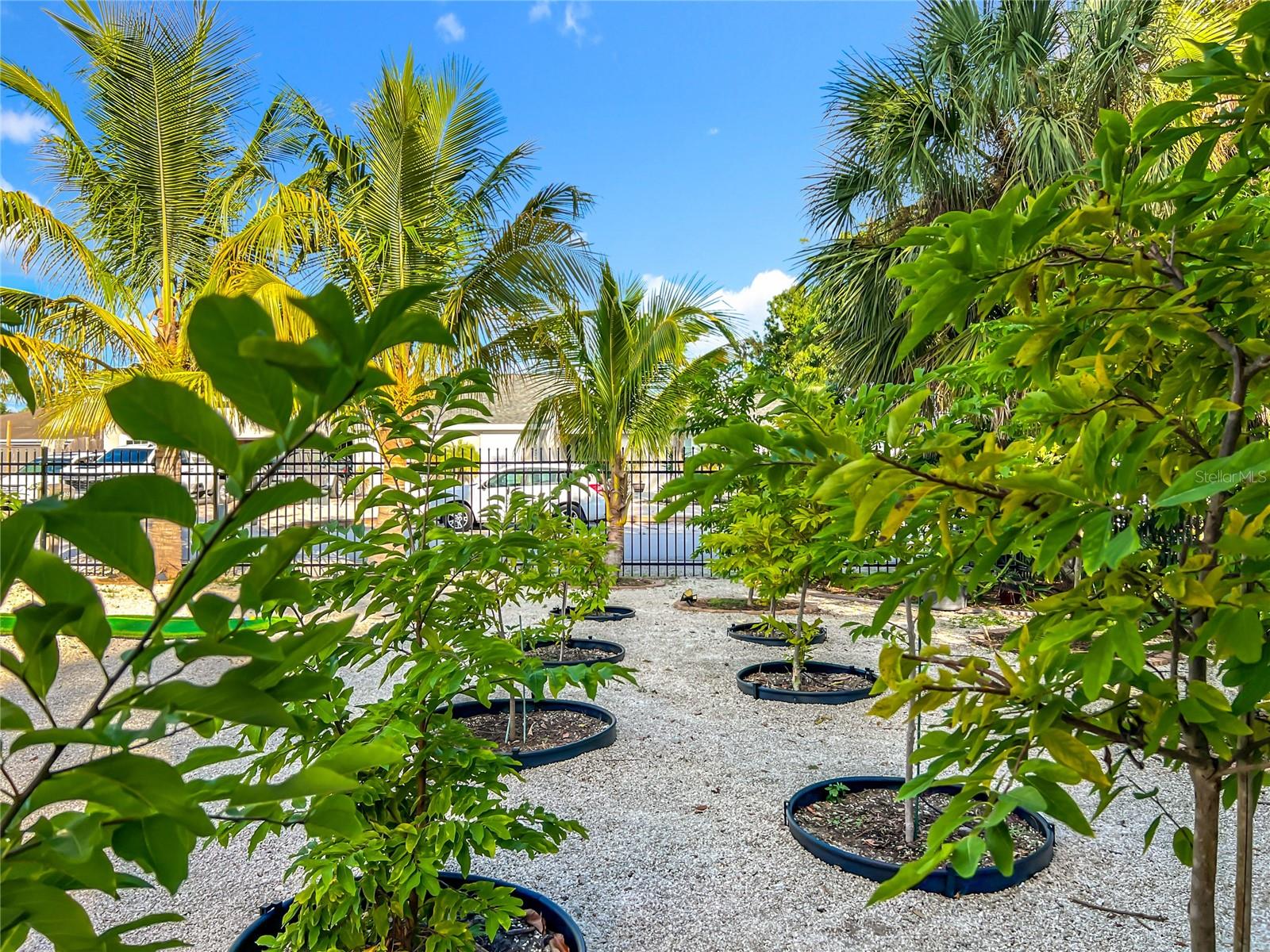 Image 54 of 97 For 2424 Whippoorwill Circle