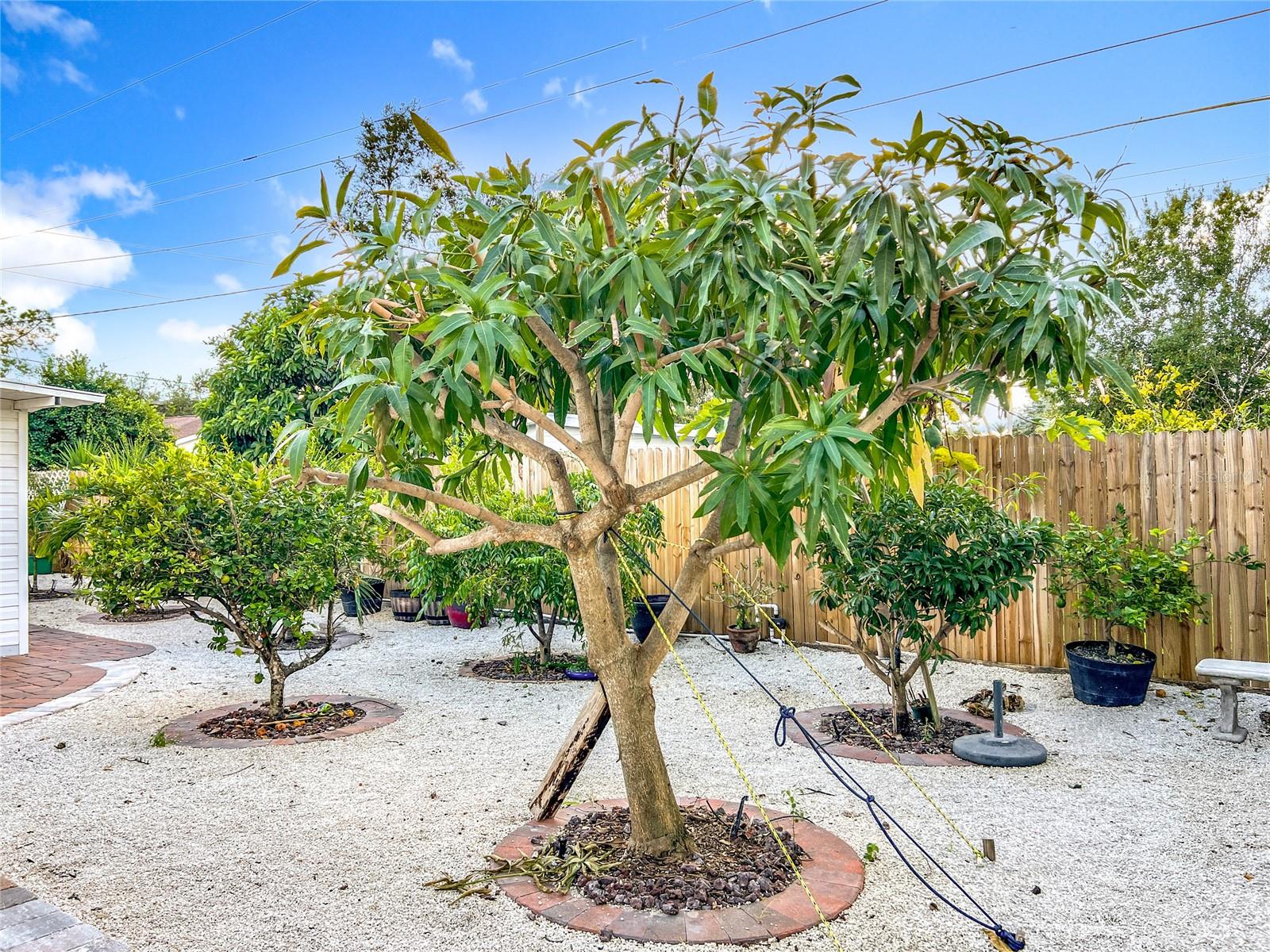 Image 64 of 97 For 2424 Whippoorwill Circle