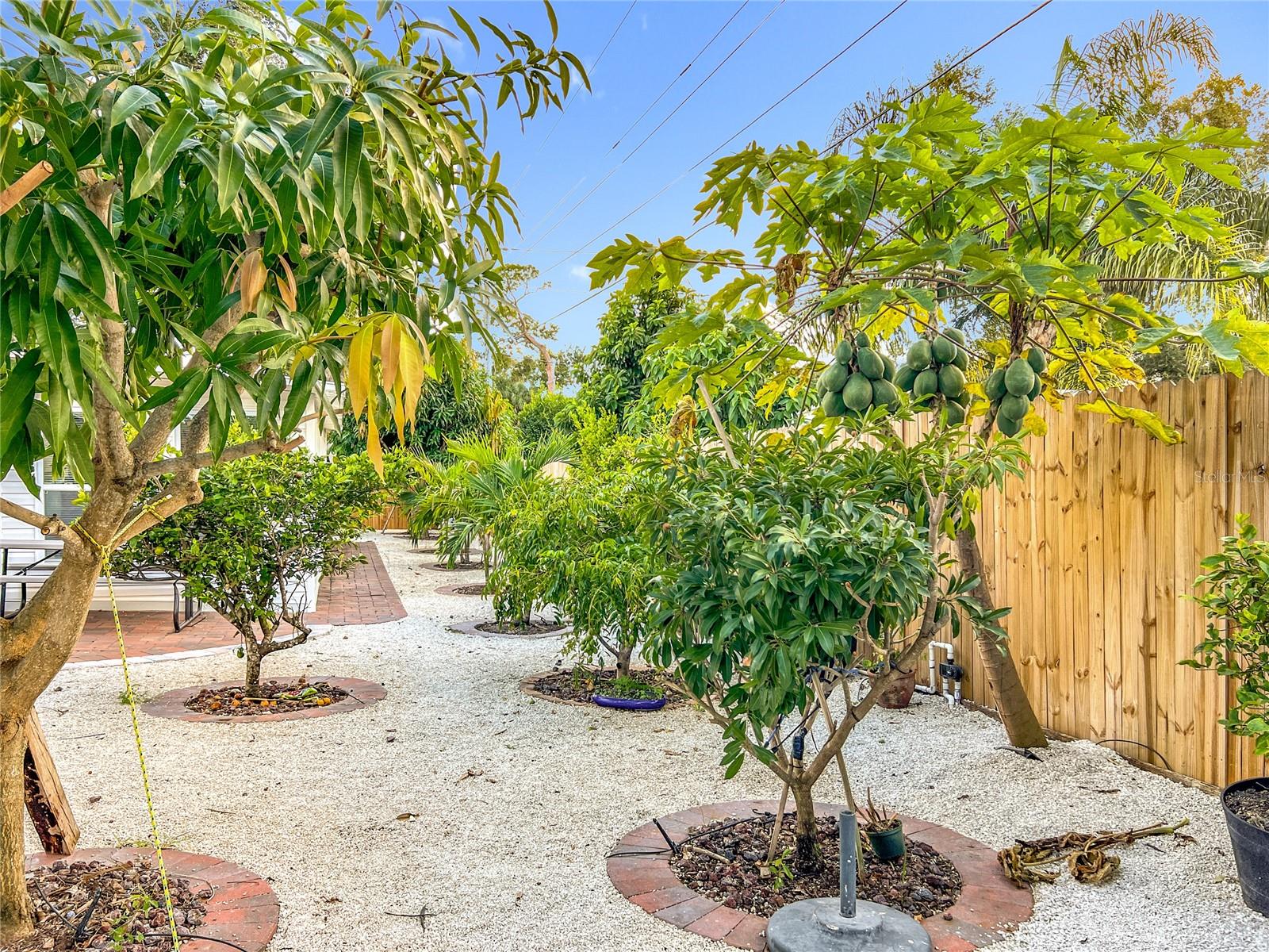 Image 65 of 97 For 2424 Whippoorwill Circle