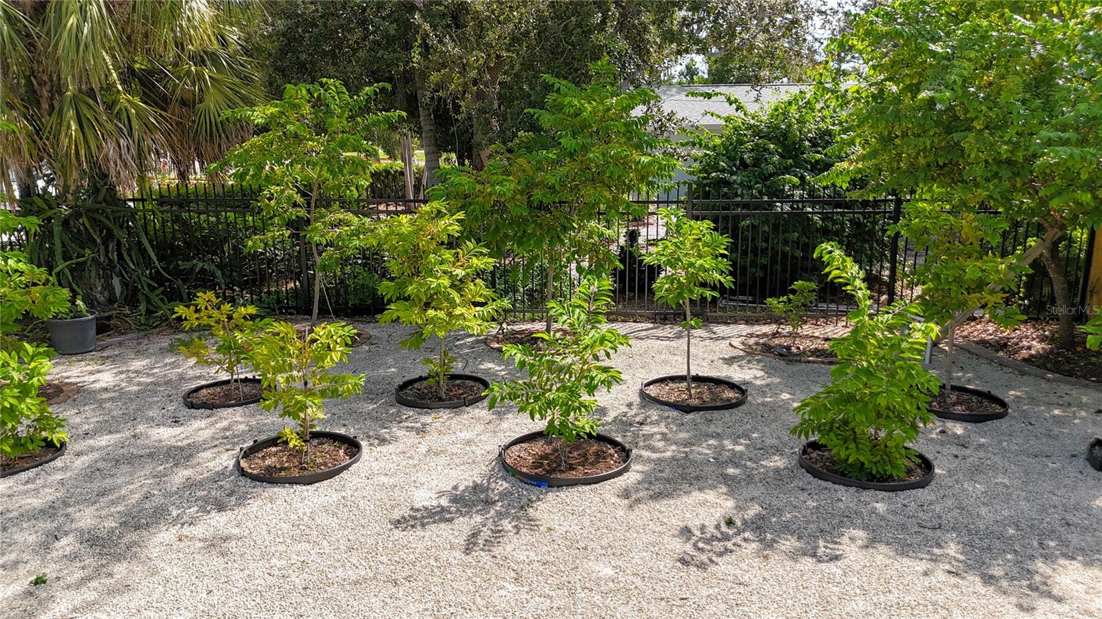 Image 97 of 97 For 2424 Whippoorwill Circle