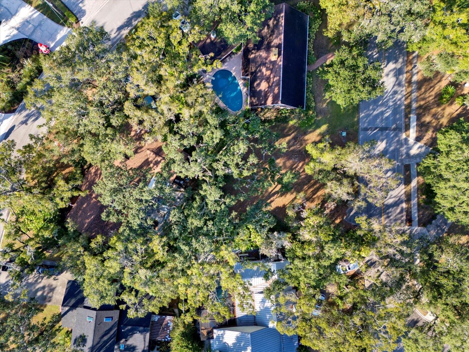 Image 9 of 16 For 1113 Riverhills Drive