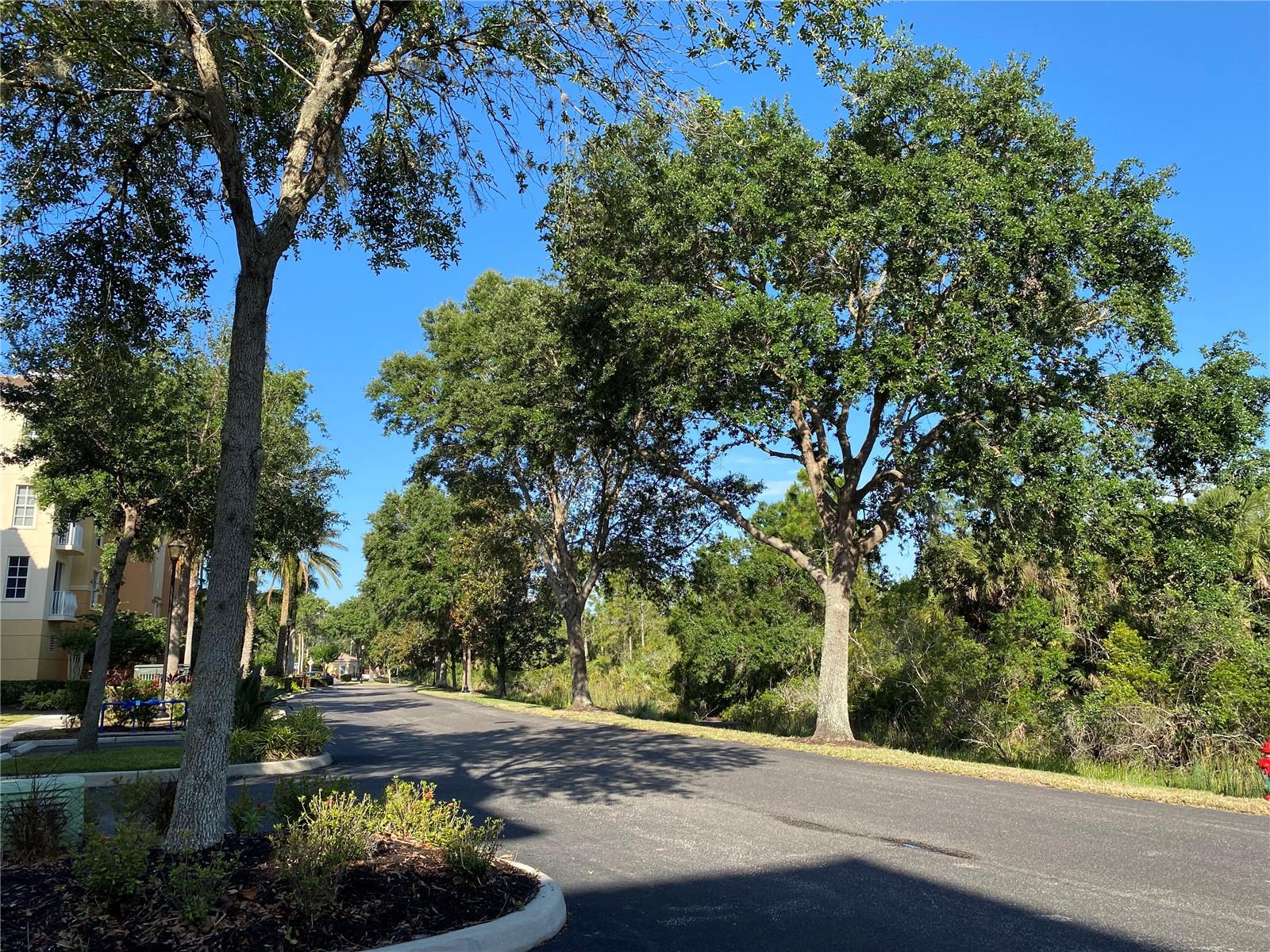 Image 58 of 66 For 6360 Watercrest Way 302