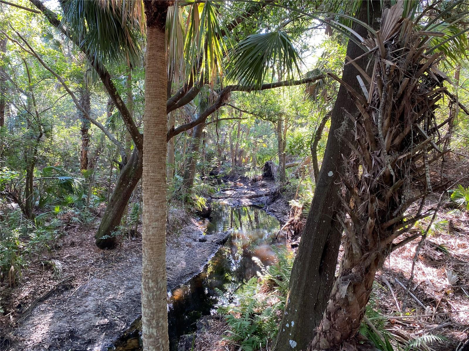 Image 62 of 66 For 6360 Watercrest Way 302