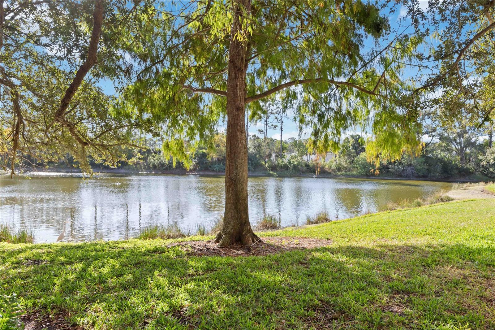 Image 24 of 29 For 4134 Central Sarasota Parkway 1734