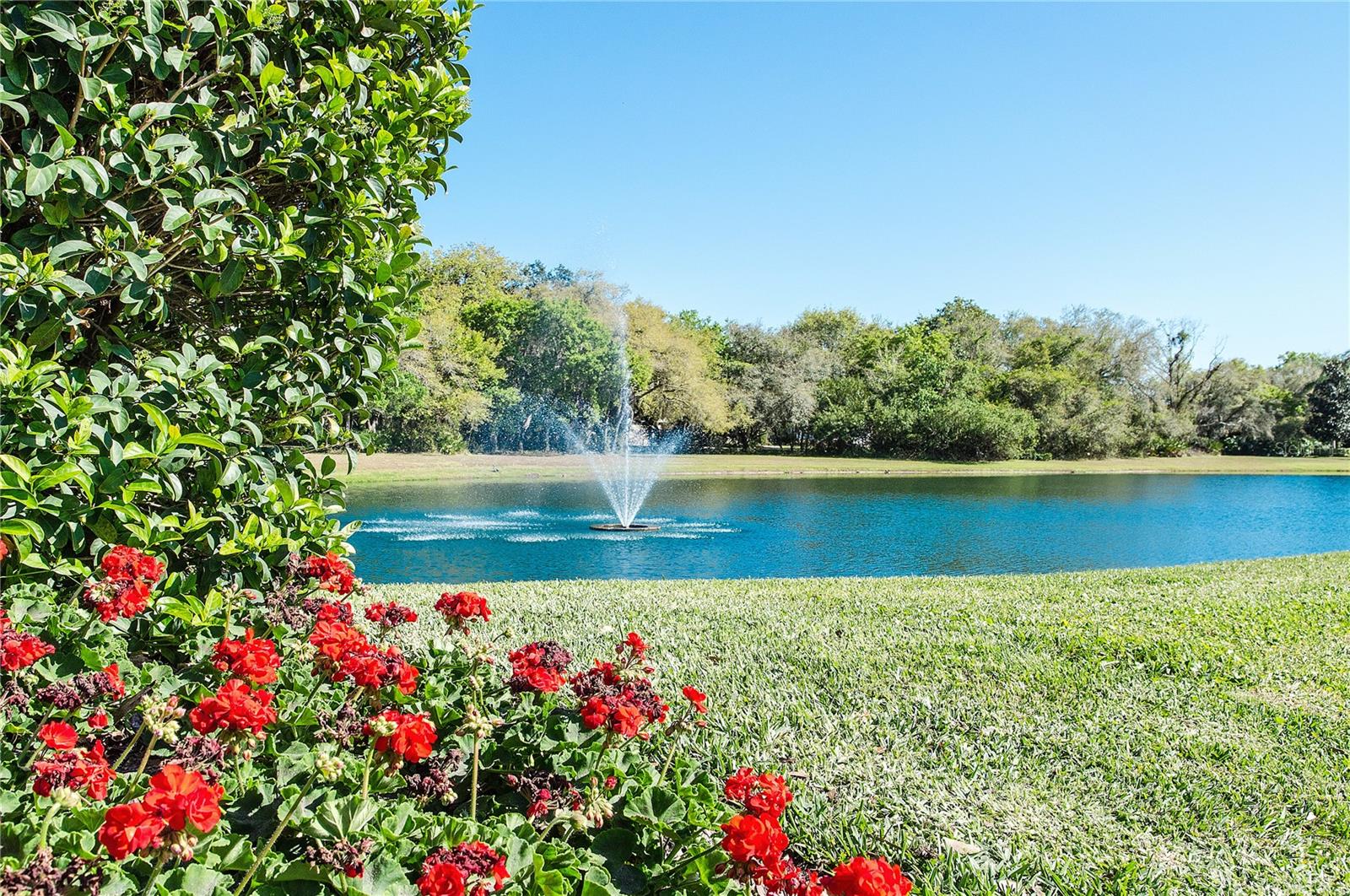 Image 71 of 92 For 11443 Savannah Lakes Drive