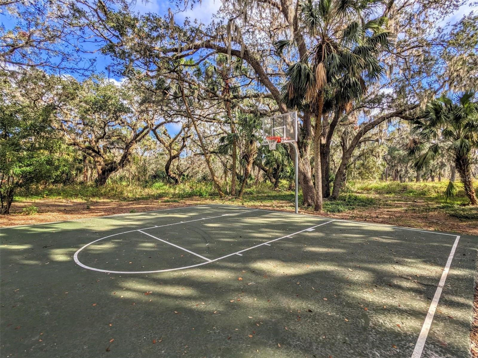 Image 31 of 33 For 6205 114th Avenue E