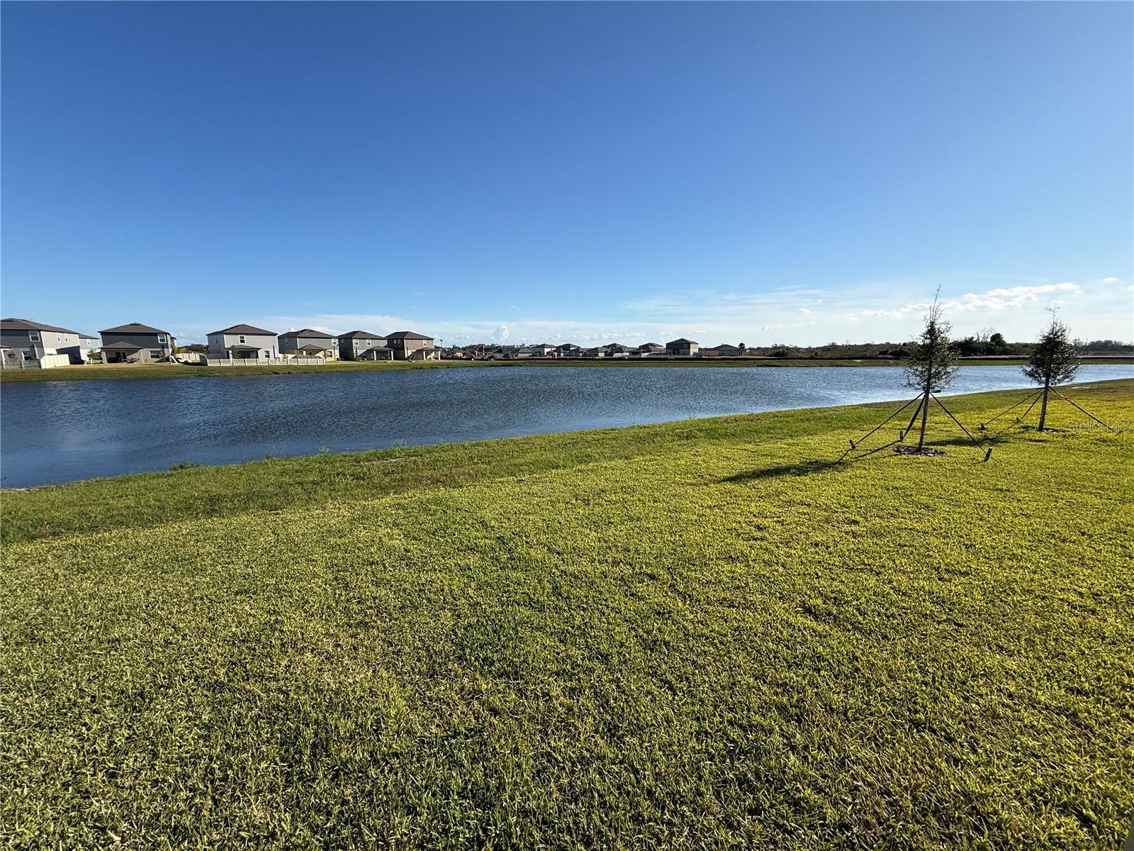 Image 21 of 41 For 12426 Radiant Crystal Rose Place