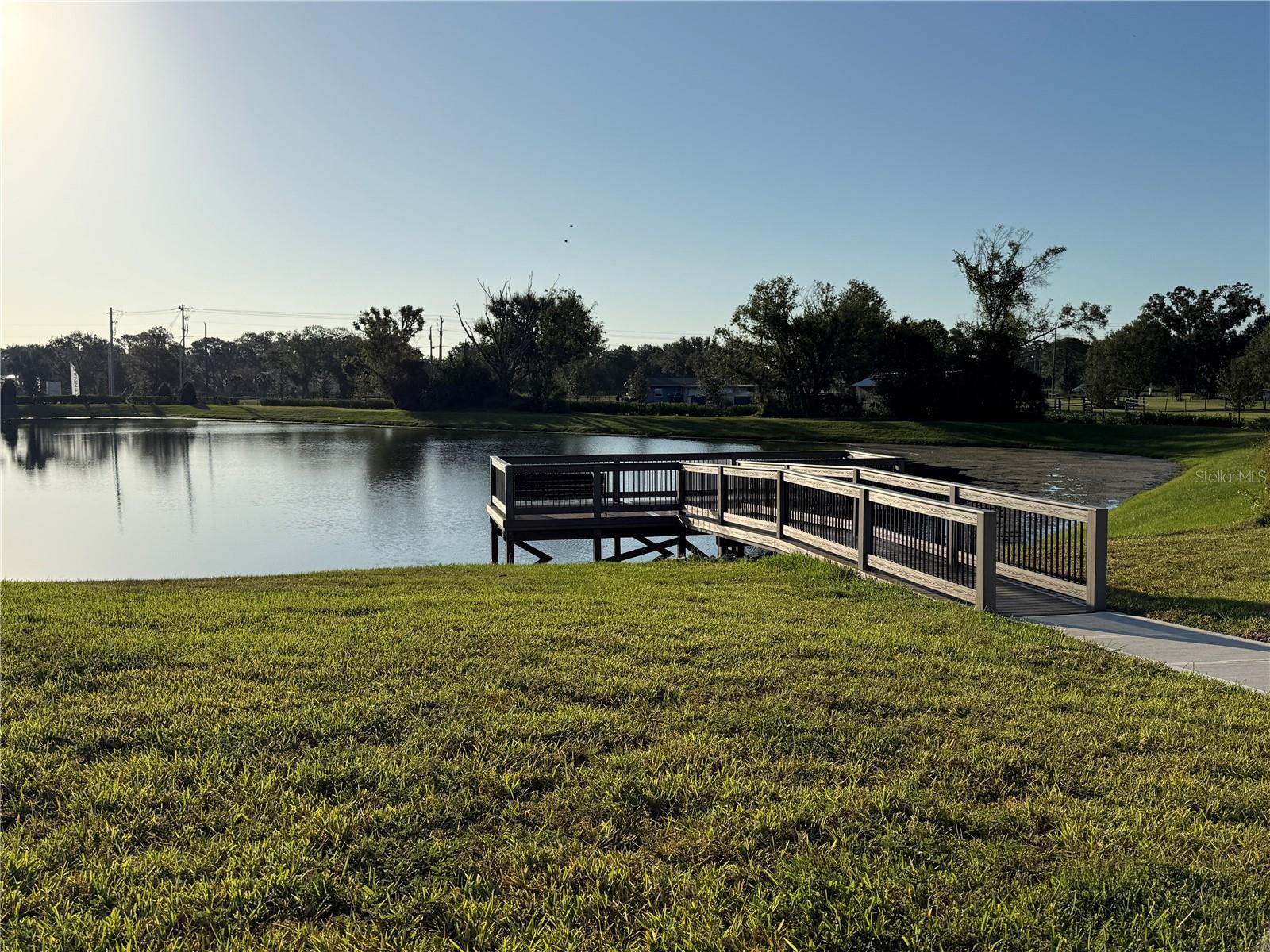 Image 27 of 41 For 12426 Radiant Crystal Rose Place