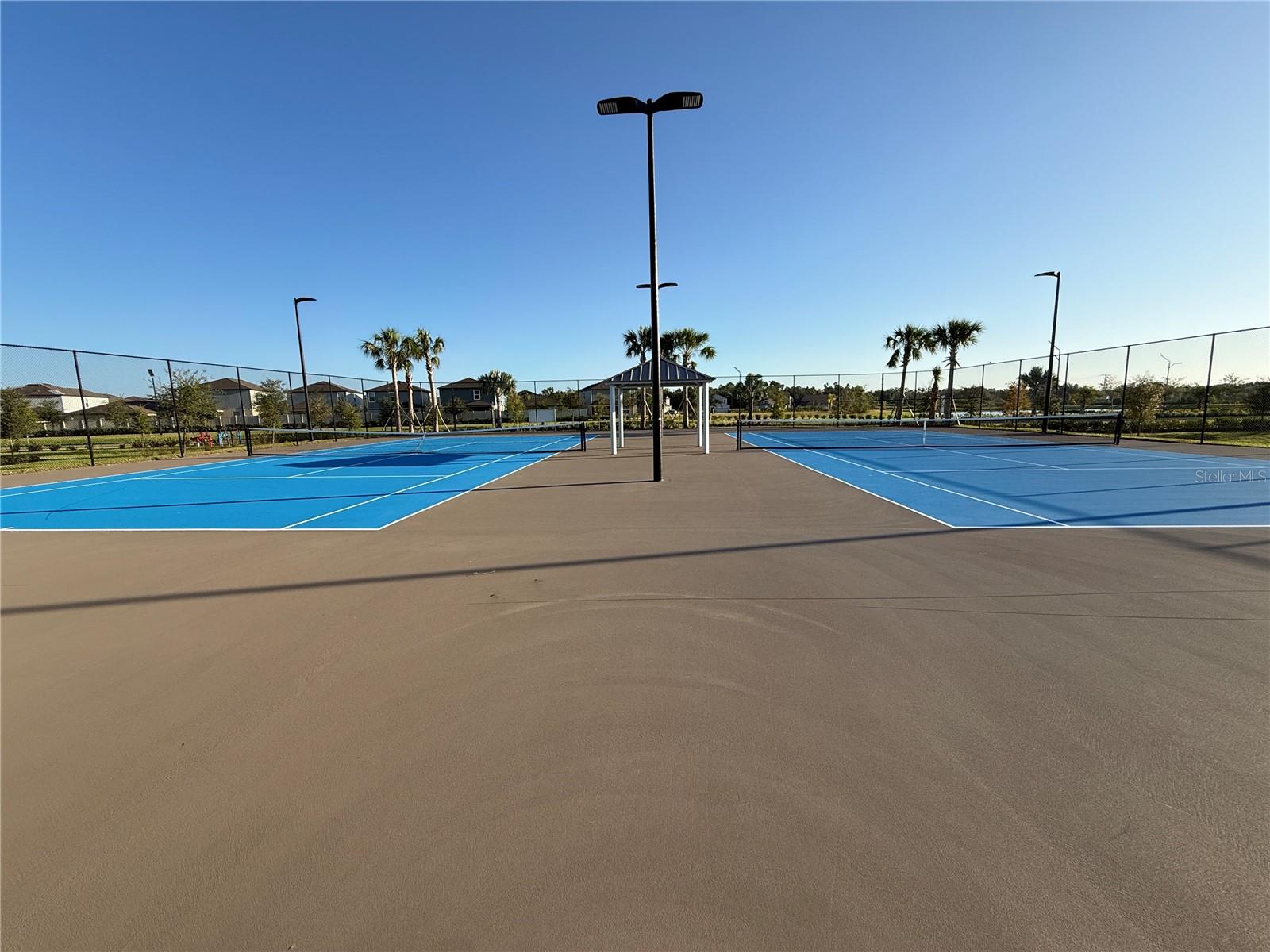 Image 28 of 41 For 12426 Radiant Crystal Rose Place