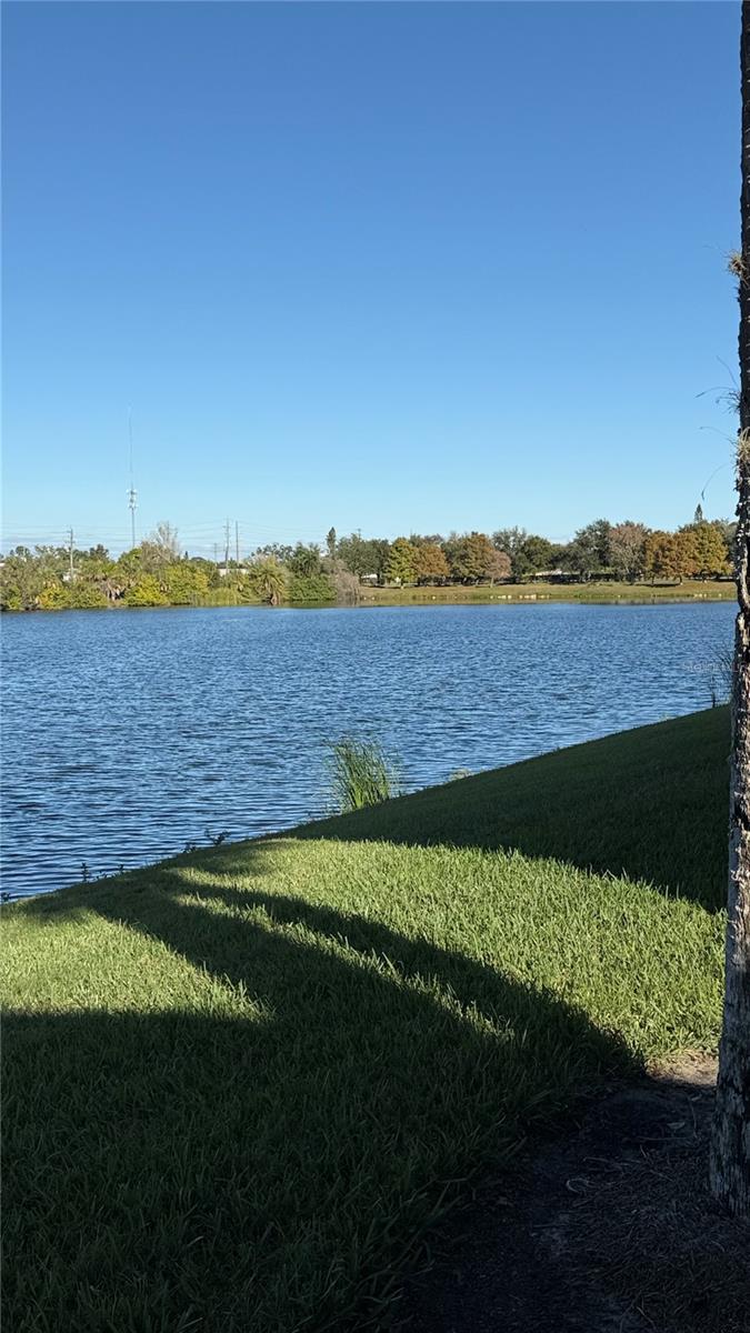 Image 35 of 50 For 3707 45th Terrace W 101